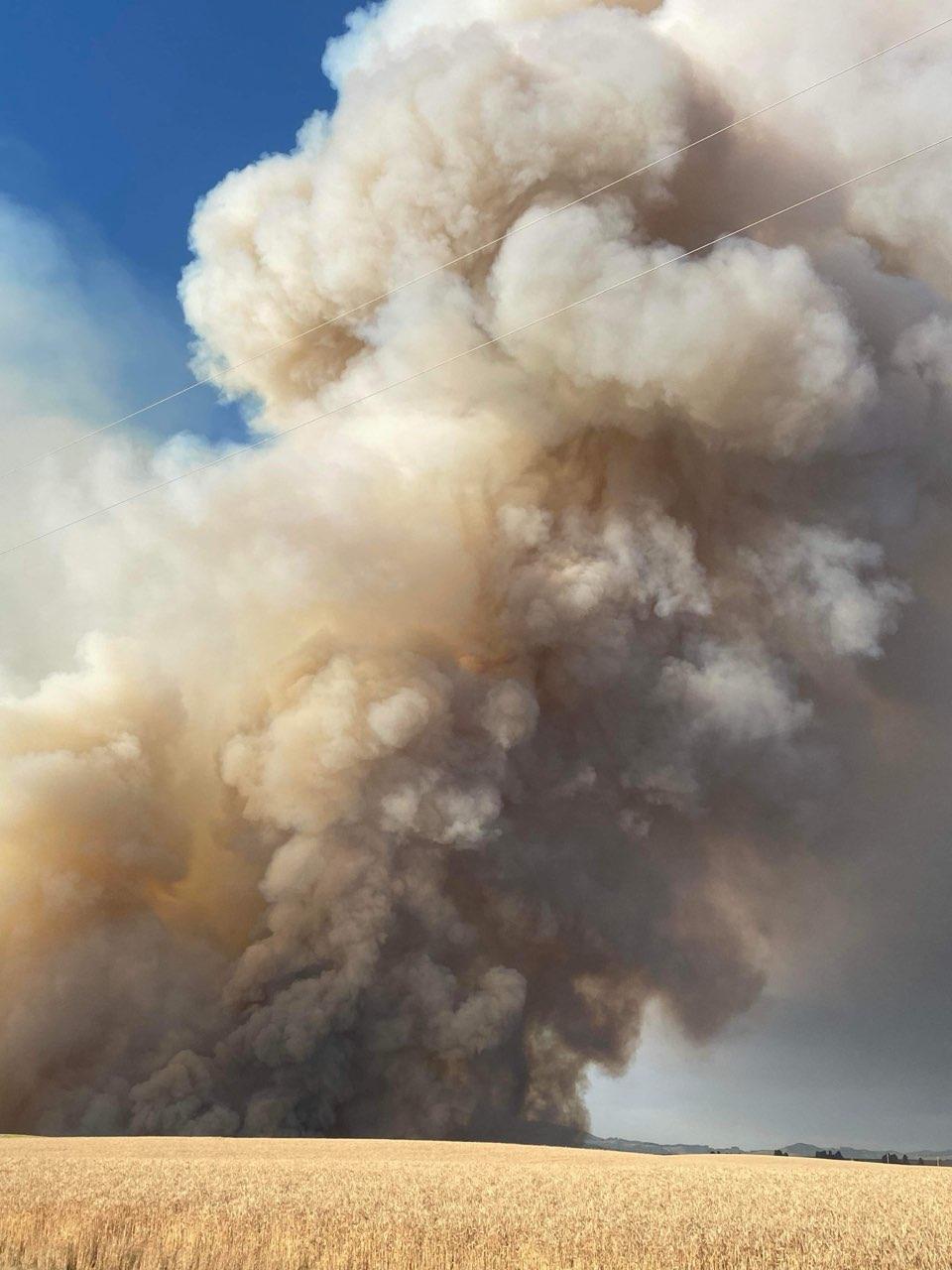 Wildfire smoke column with wheat fields in the foreground.