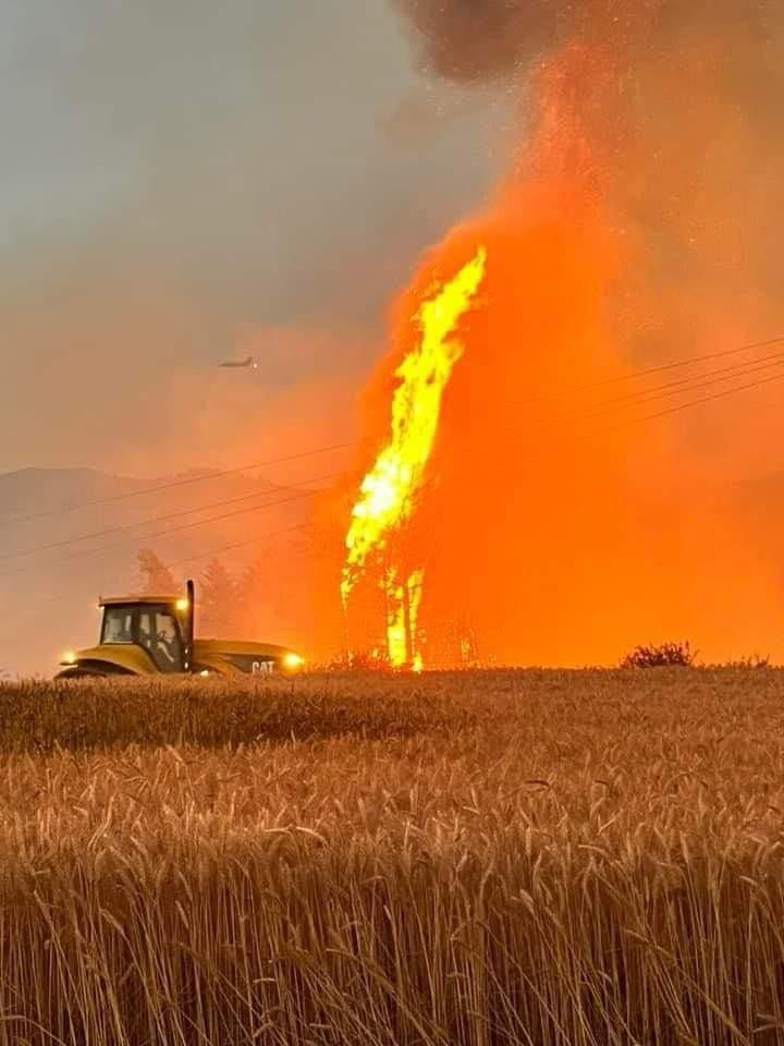 Tractor responding to wildfire adjacent to wheat fields.