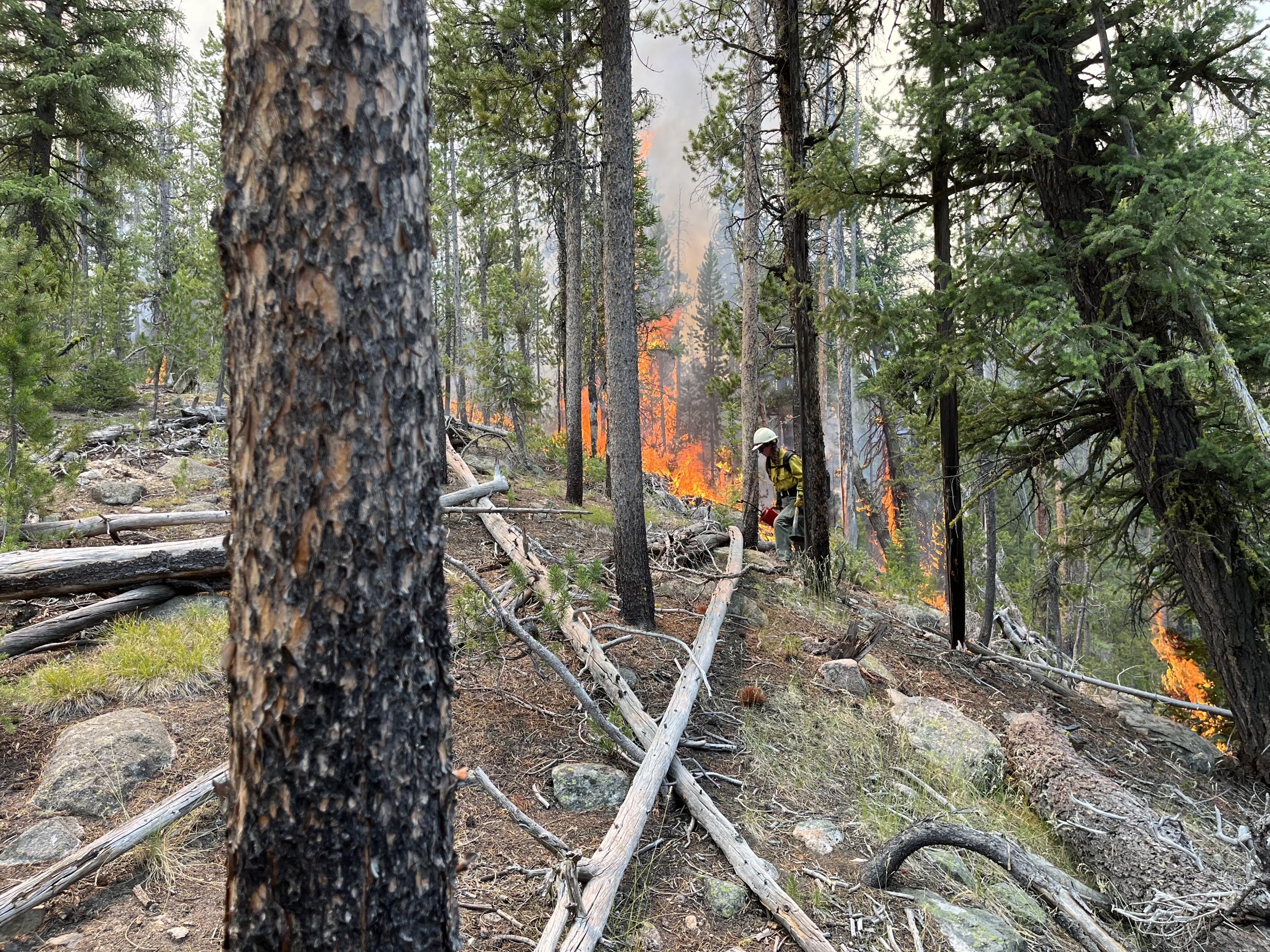 firefighter working along fire line