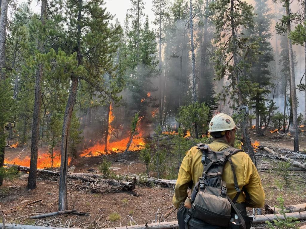 firefighter in front of a small fire