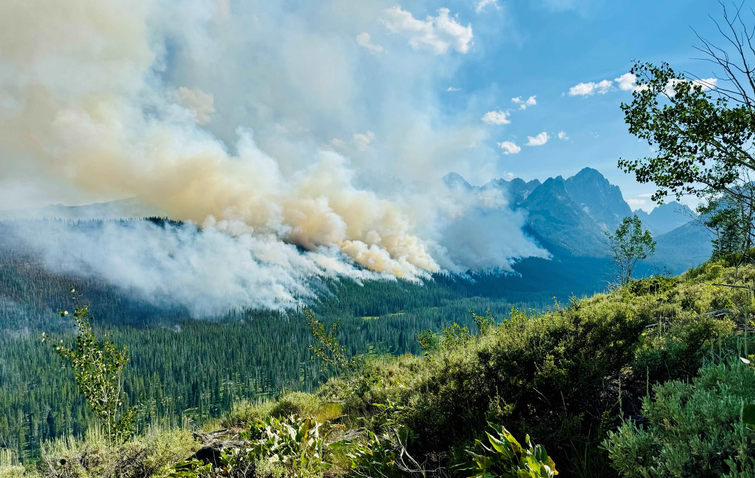 Fishhook drainage with backing fire July 18, 2024