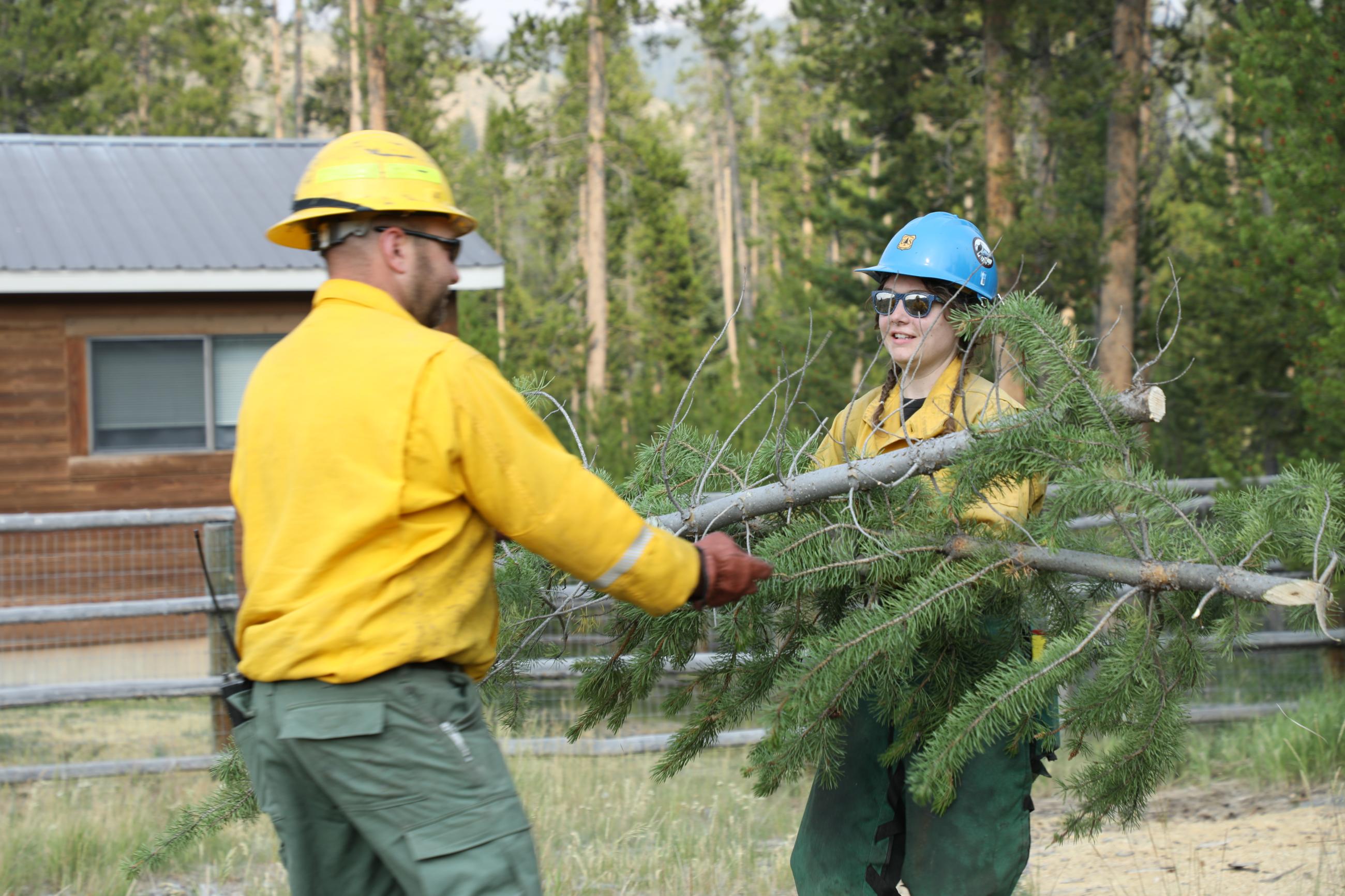 Crews conduct vegetation removal in the Stanley Ranger Station compound, July 21, 2024