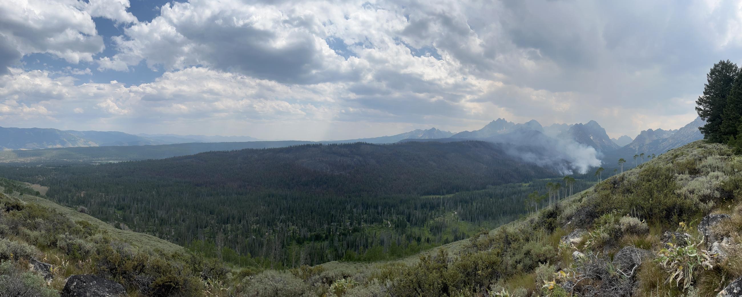 Panoramic view of Fishhook Drainage from Alpine Way Trail July 22, 2024