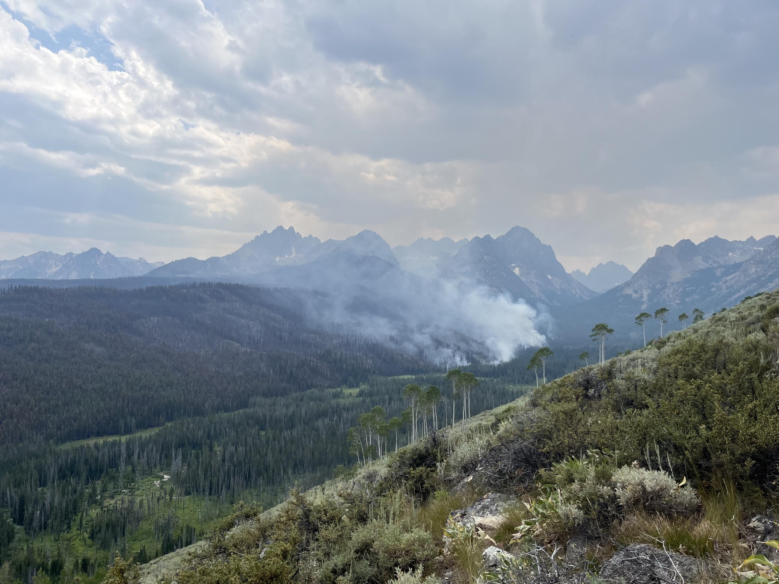 View of Fishhook Drainage from the Alpine Way Trail July 22, 2024