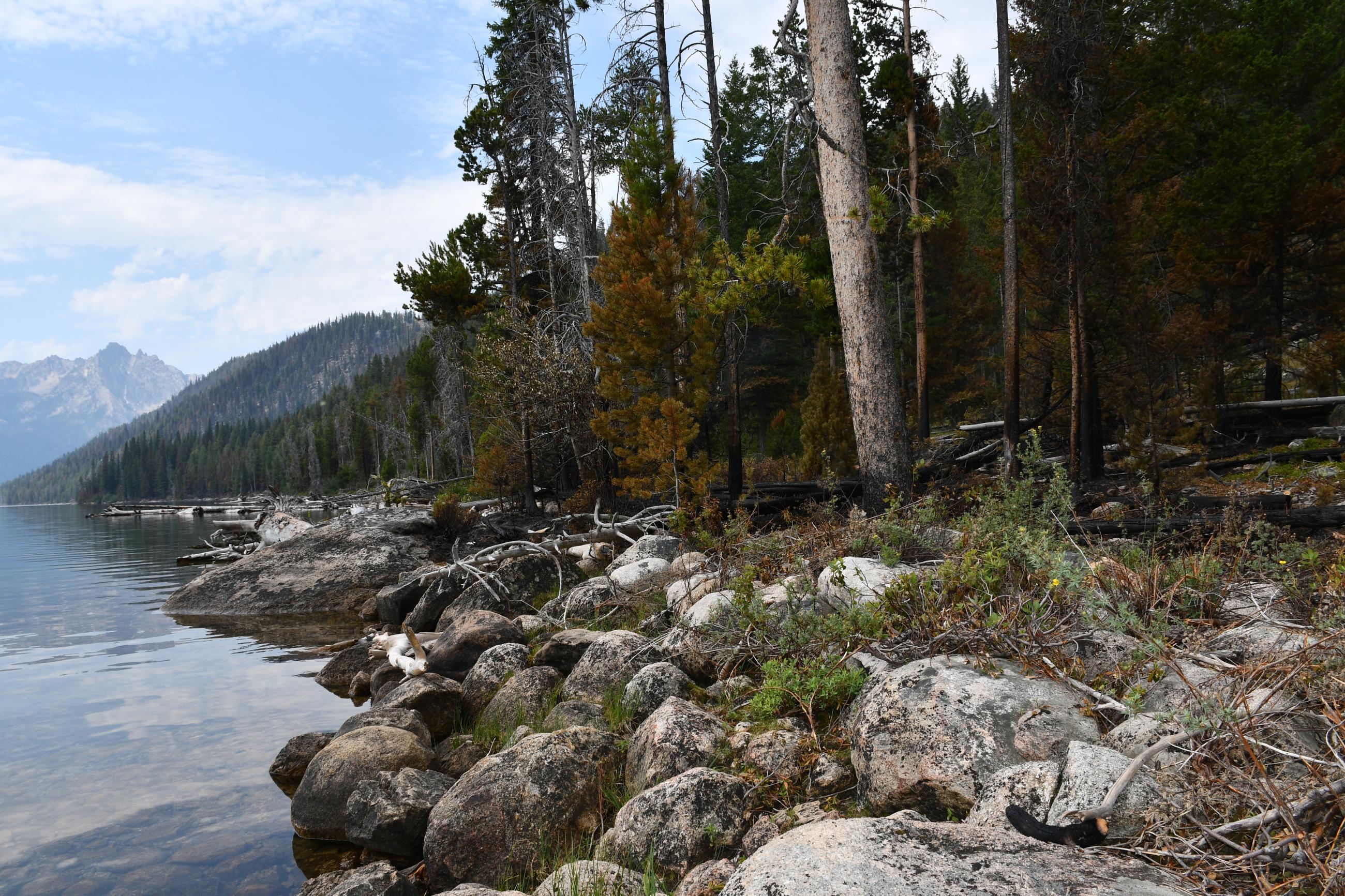 View from Point Campground, July 24, 2024