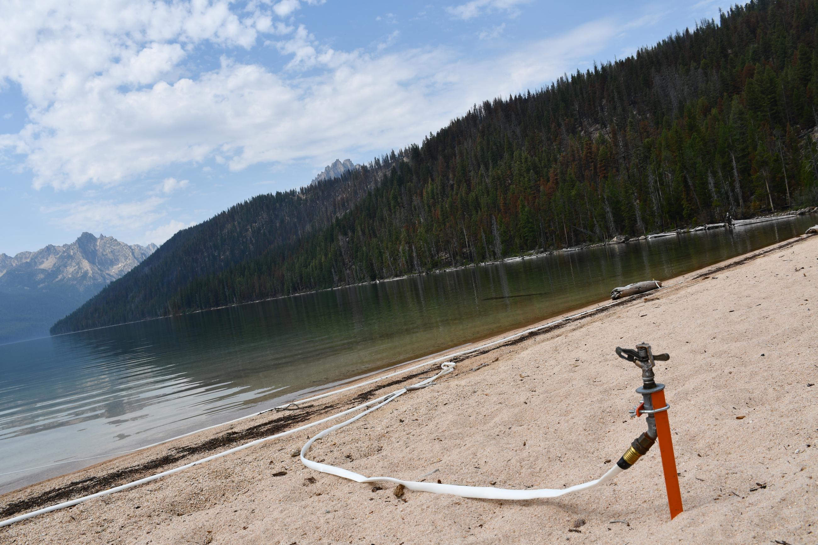 Hose laid on the beach by Point Campground, July 24, 2024