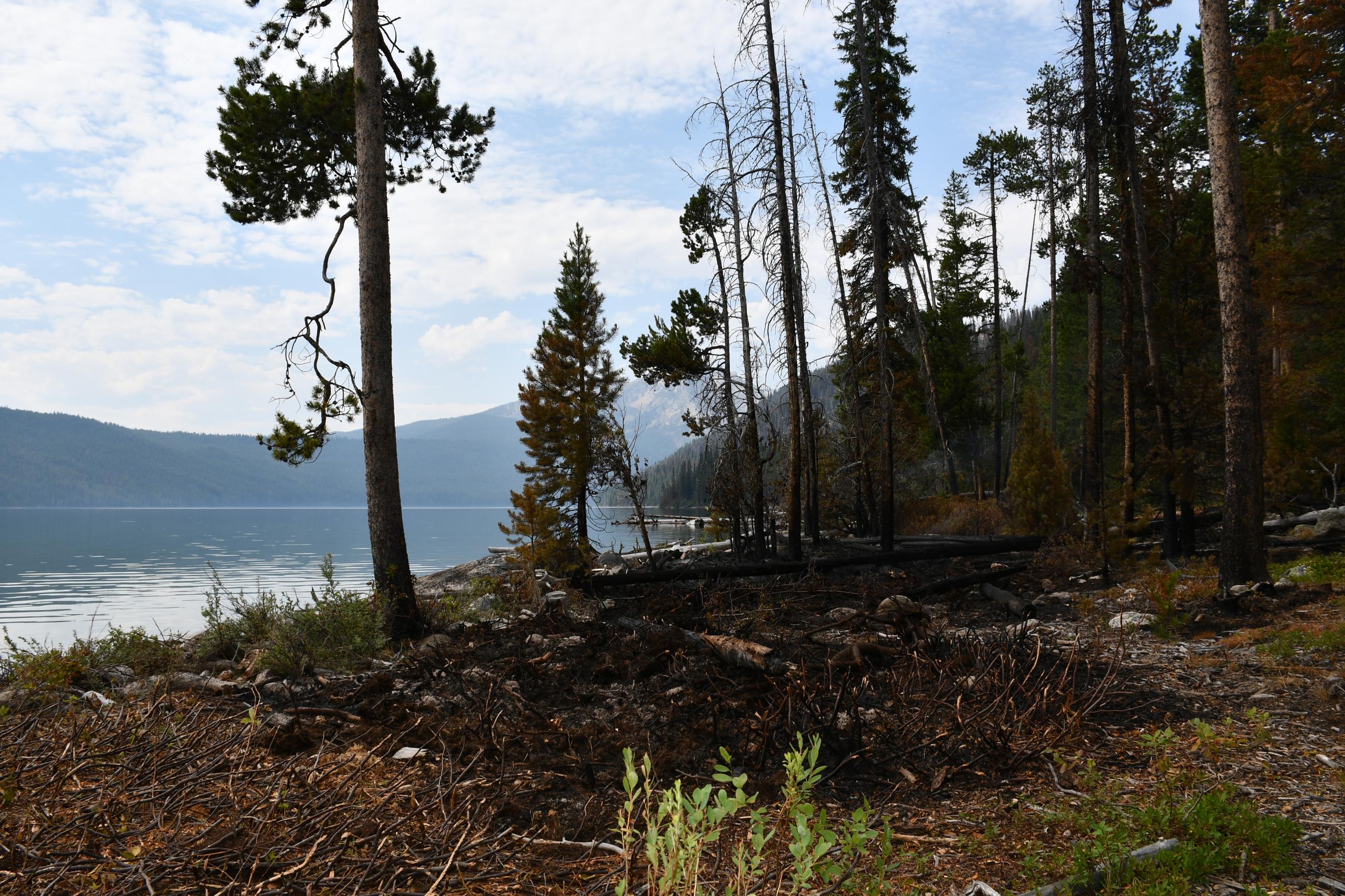 View from Point Campground, July 24, 2024