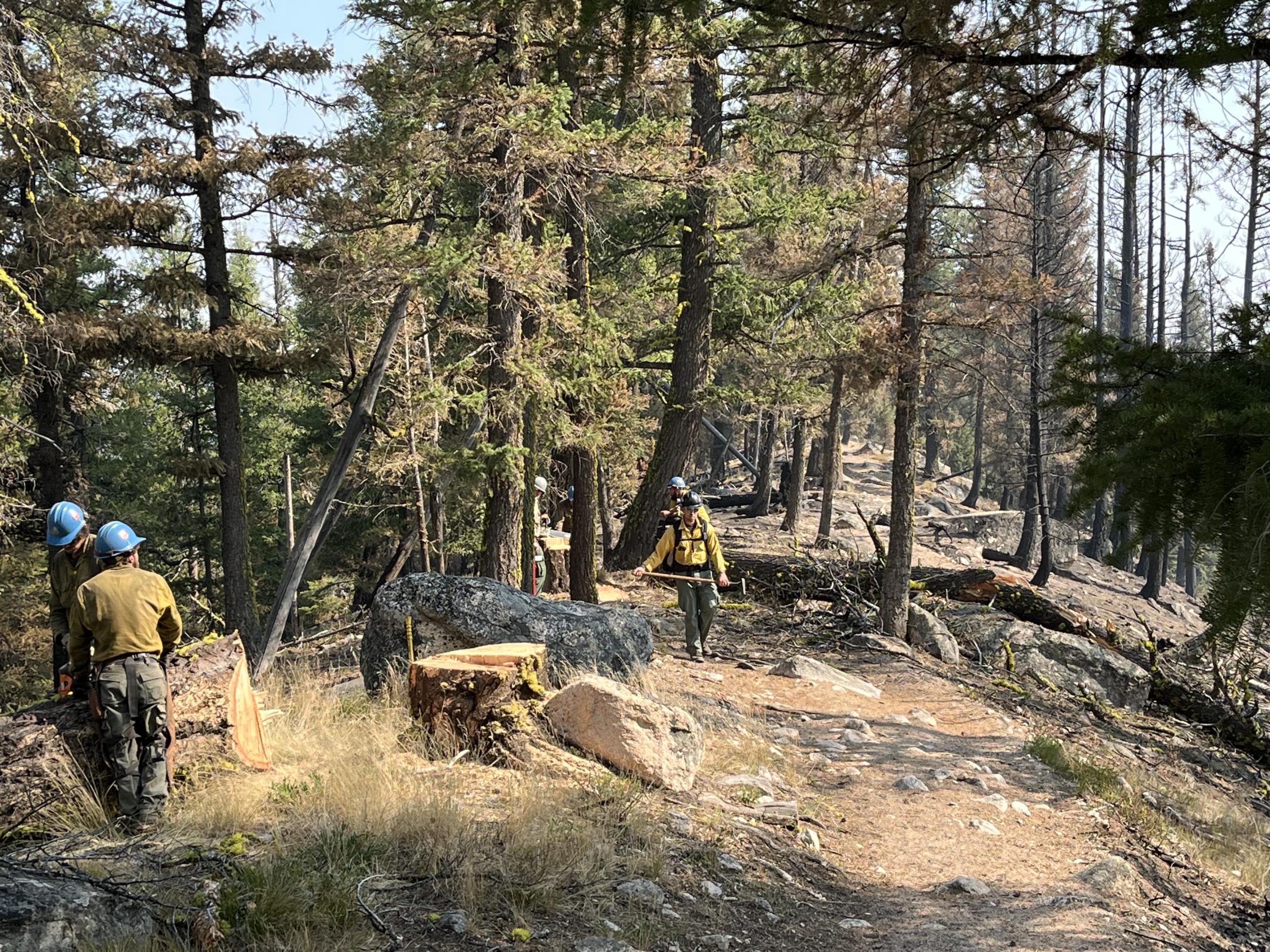 Crews repair fireline by the Redfish Lake Ridge Trail, July 25, 2024