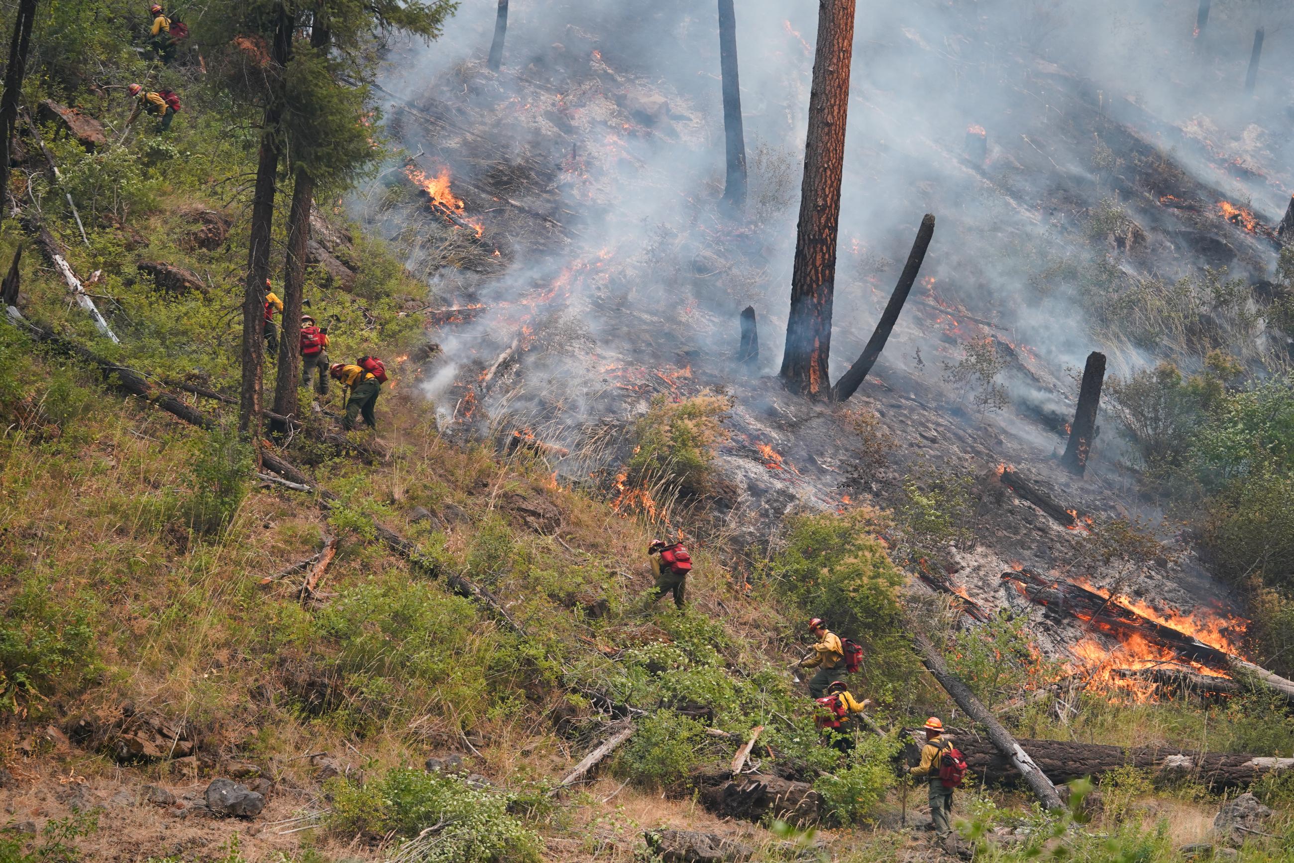 Firefighters climbing a steep, brush-filled hillside next to flames and smoke.