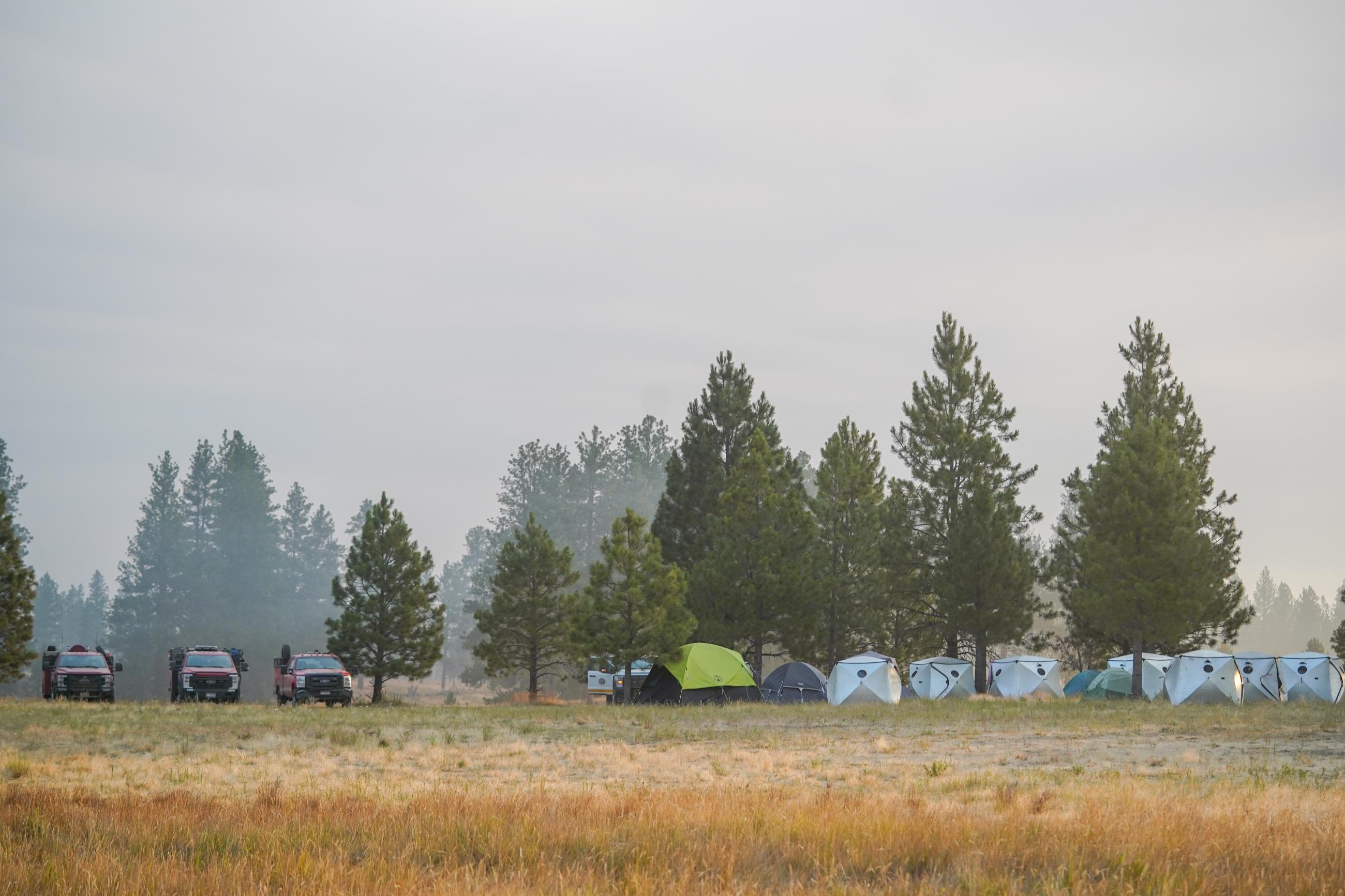 Fire engines and tents forming a makeshift camp in a field with tall pine trees in the background. 