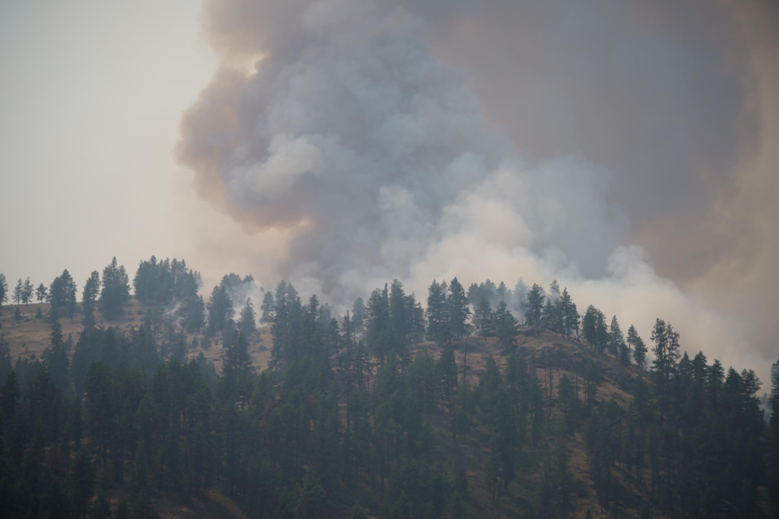 Image of a smoke column rising from the Snake Fire.