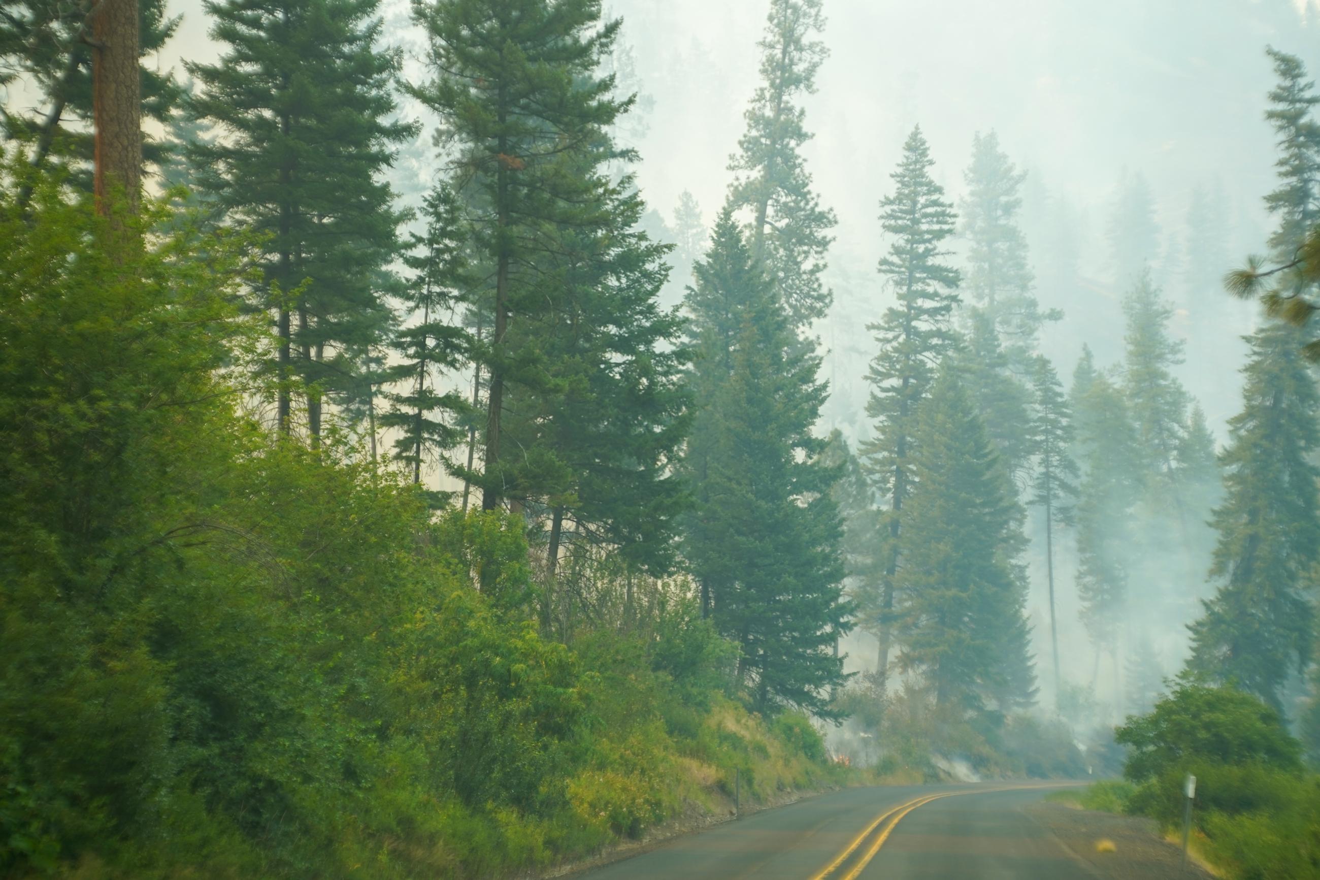 Image of a smoke-filled valley with a highway cutting through timber. 