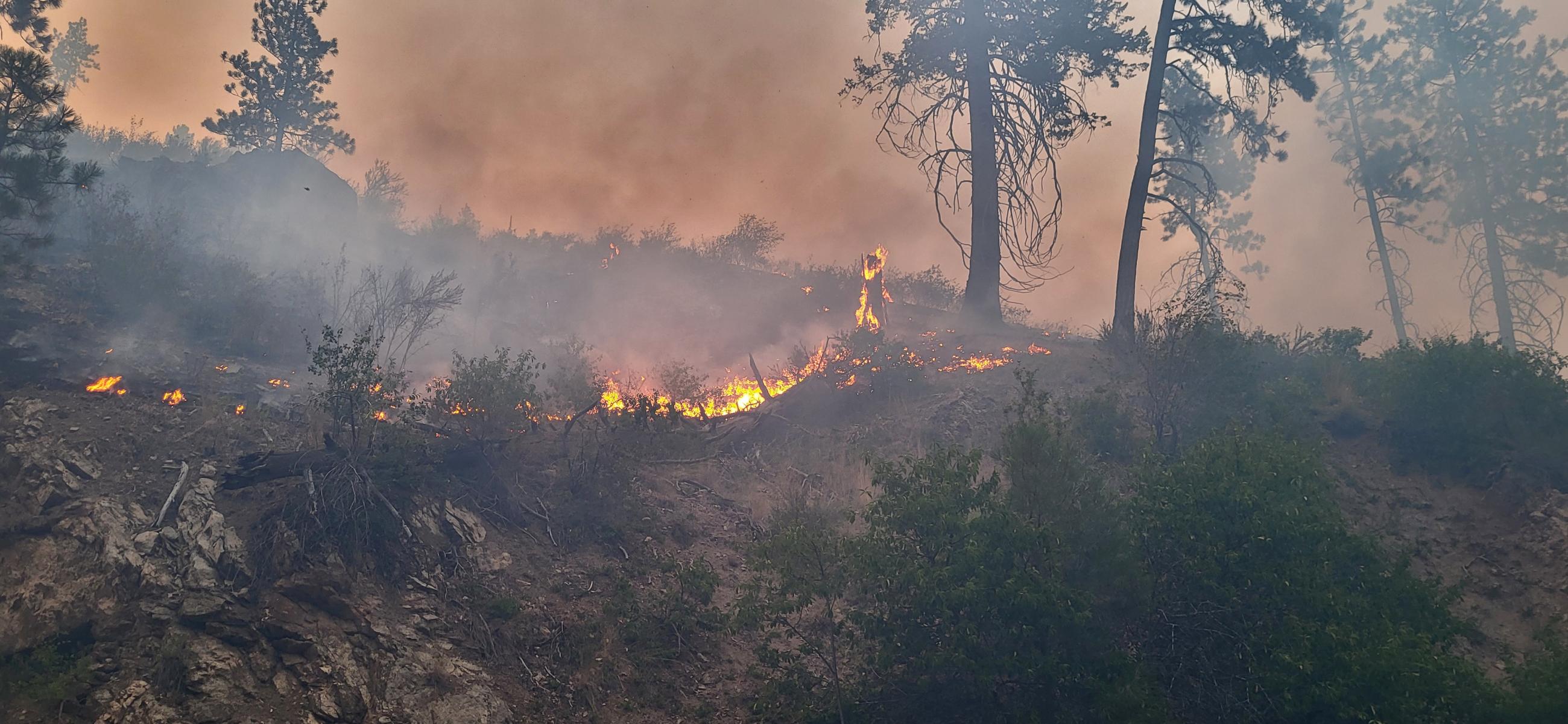 Fire behavior mid slope