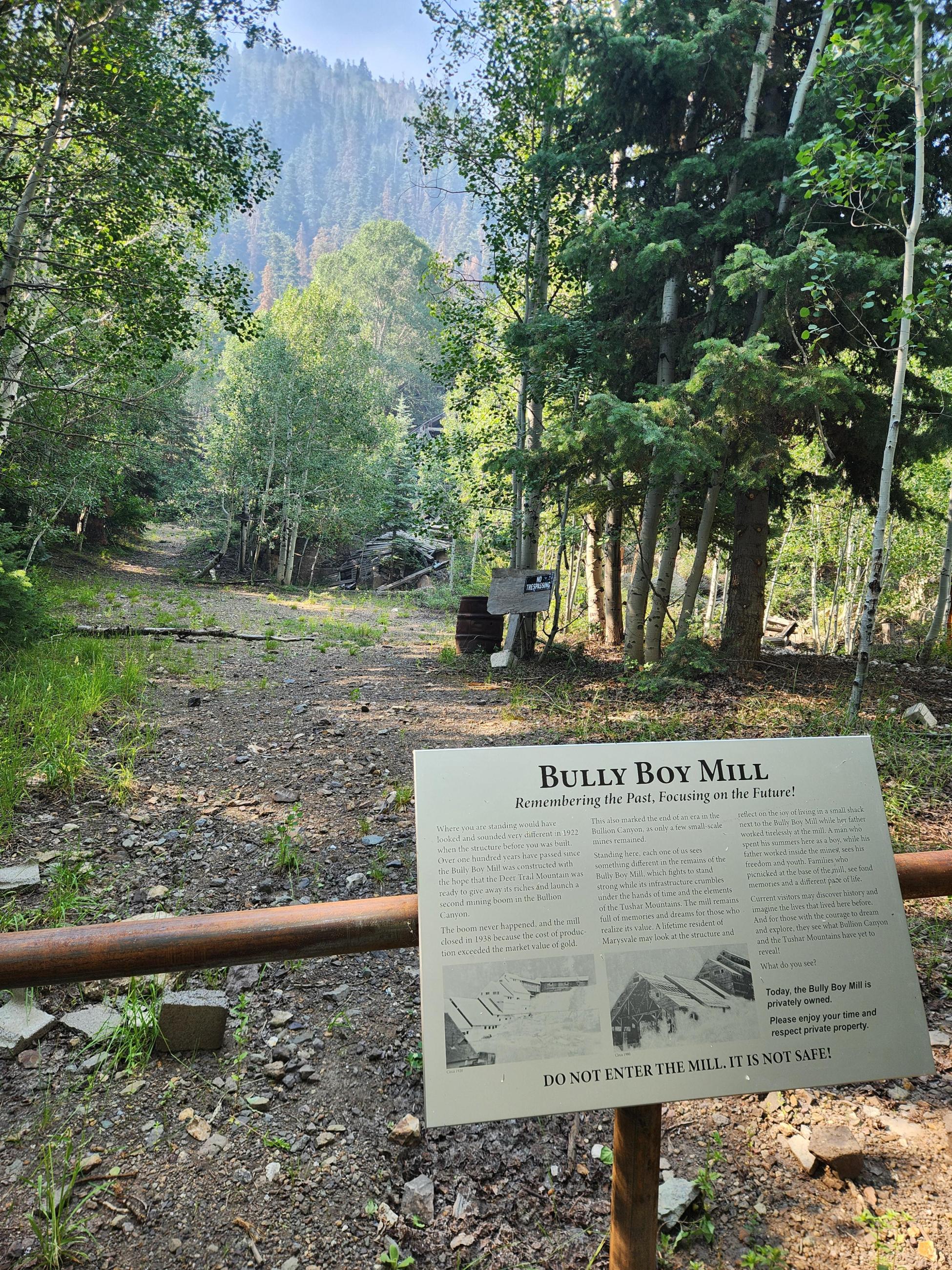 Bully Boy Mill Site South Of The Silver King Fire