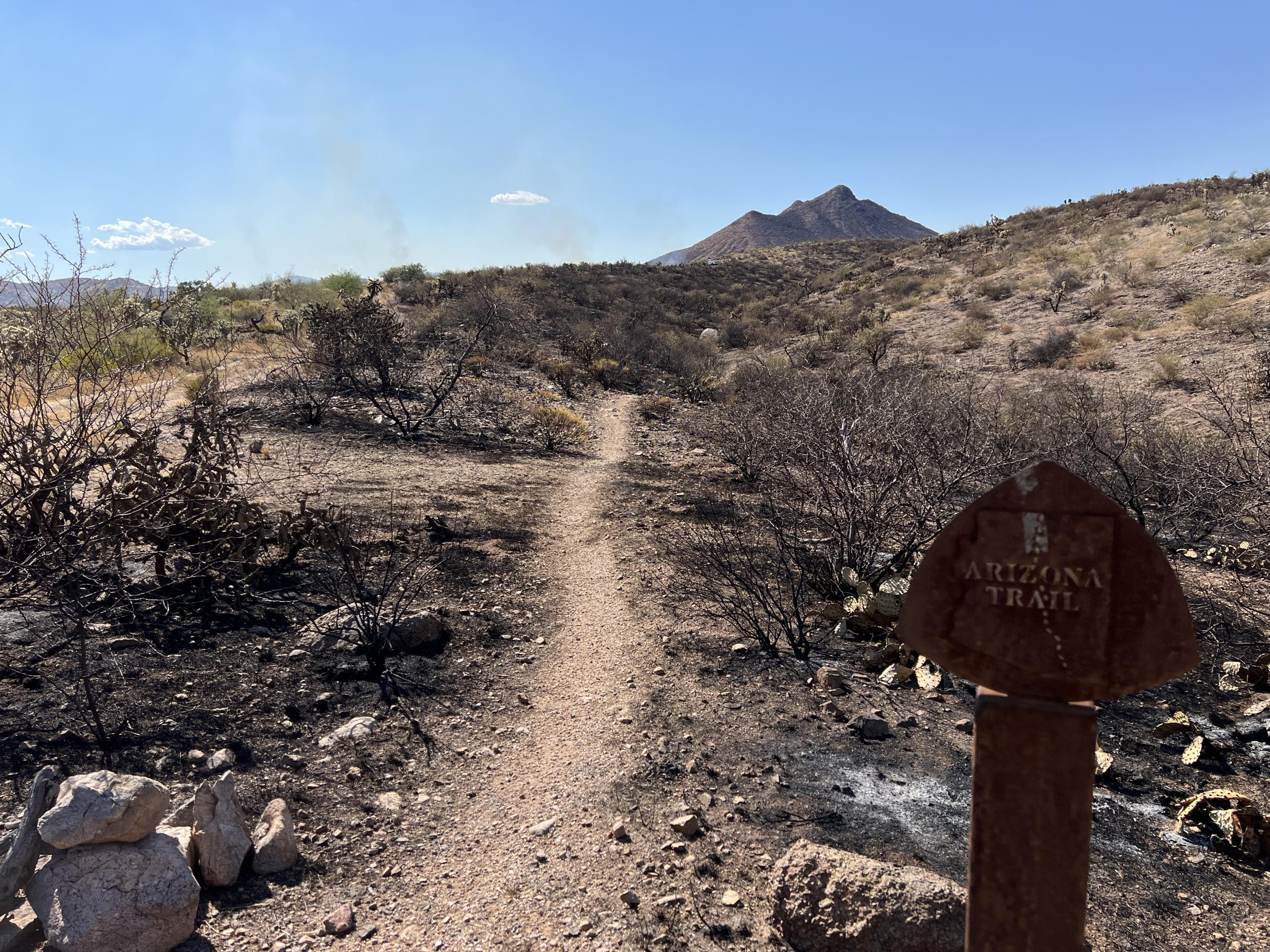 AZ Trail signed with burned vegetation in background