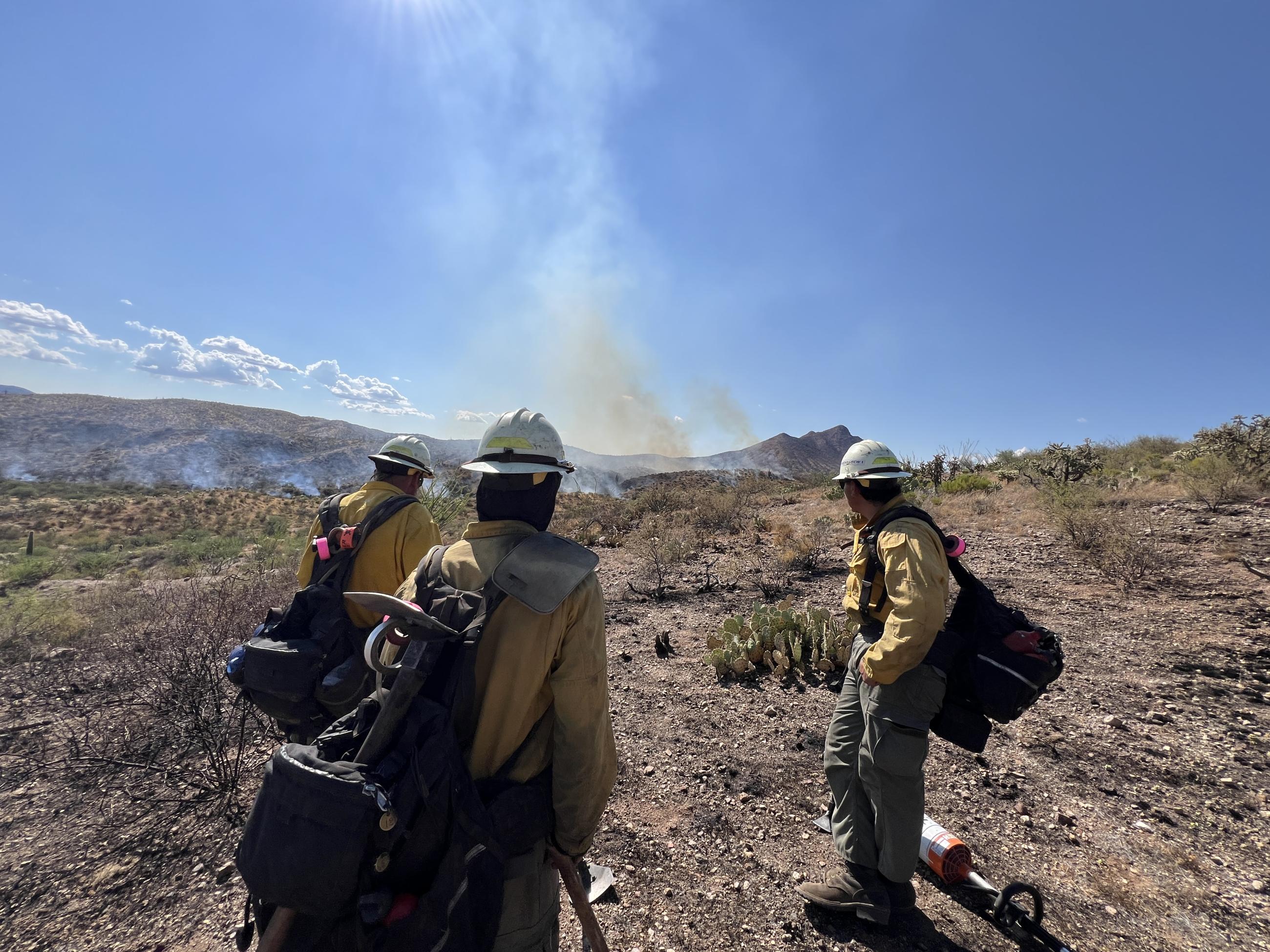 3 firefighters stand on hillside with smoke rising in background