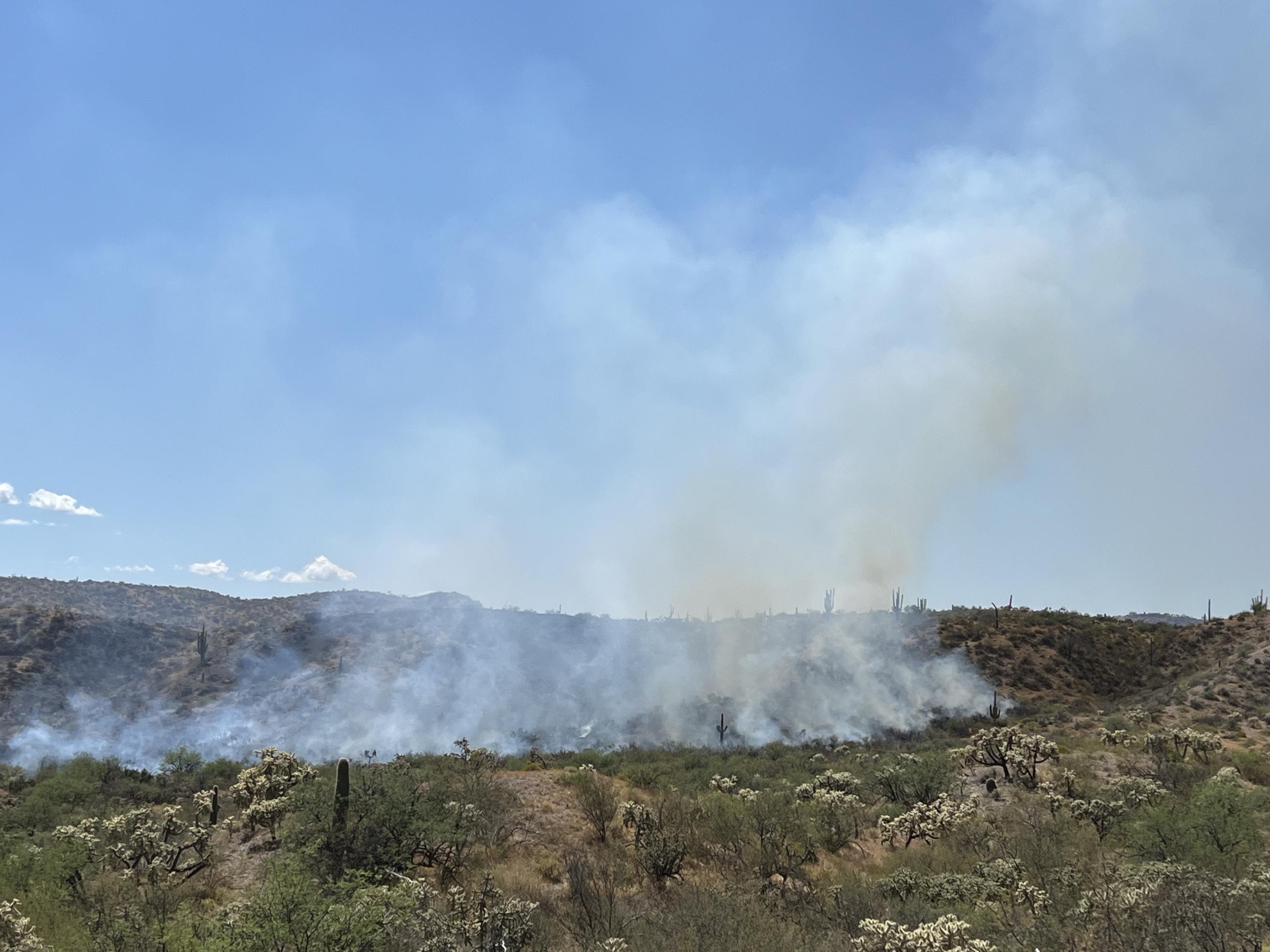 line of fire and smoke across landscape rises against blue sky