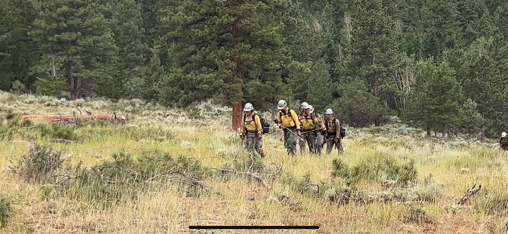 A squad from the Weber Basin job corp crew hiking back to spike camp.