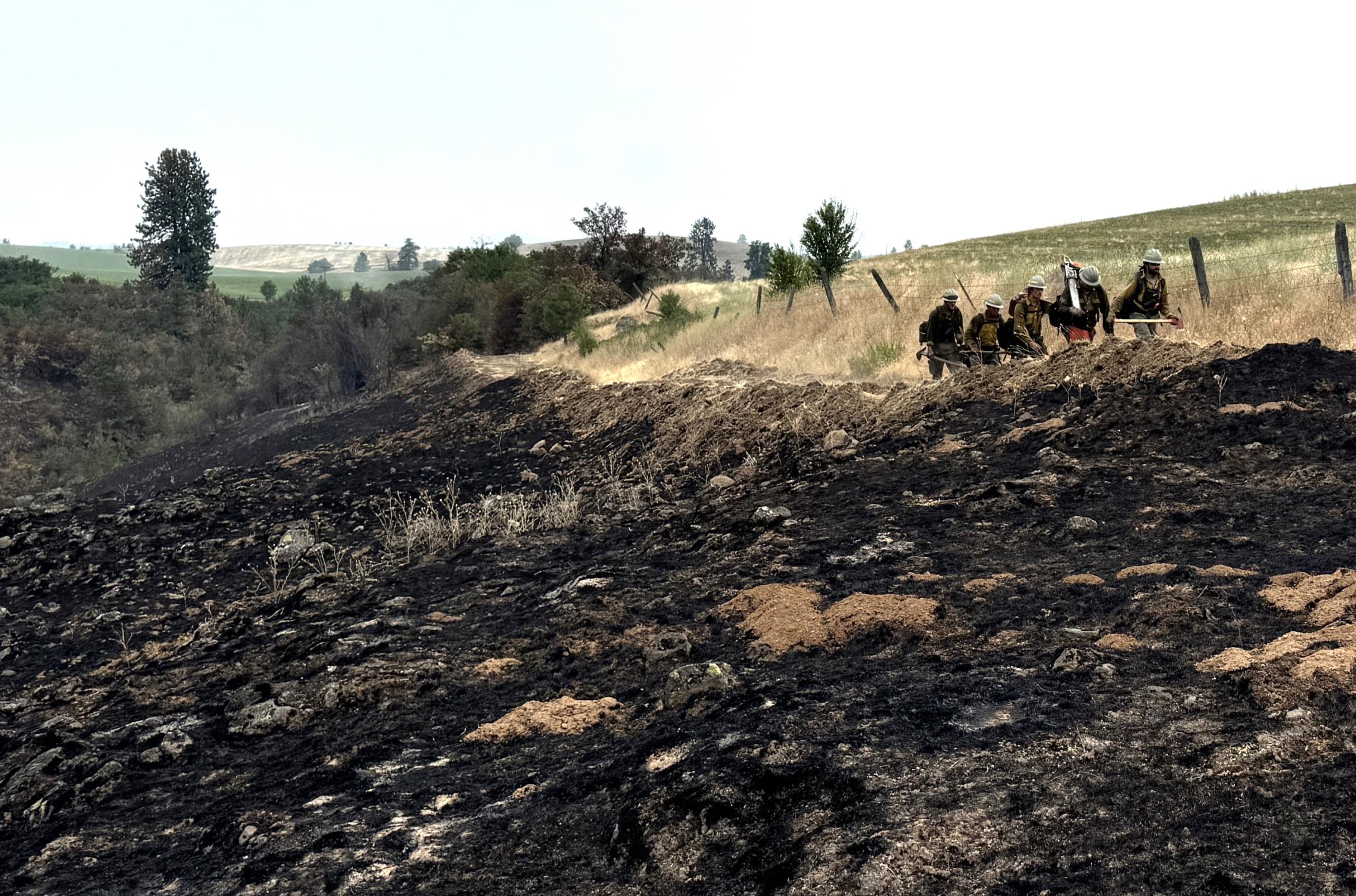 Wildland firefighters walking in a line along the fire perimeter.