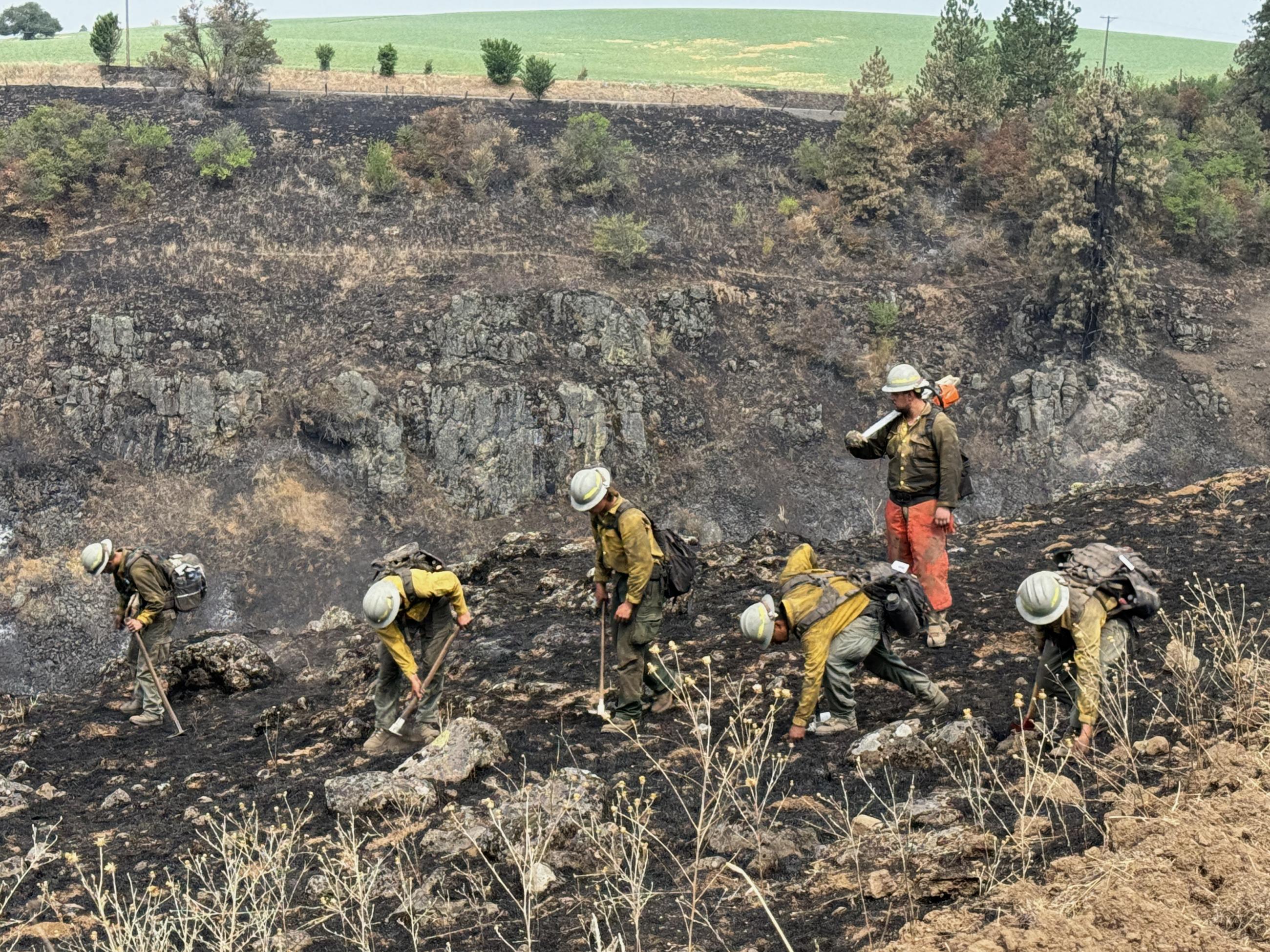 Wildland firefighters gridding the black of the fire for areas of heat.