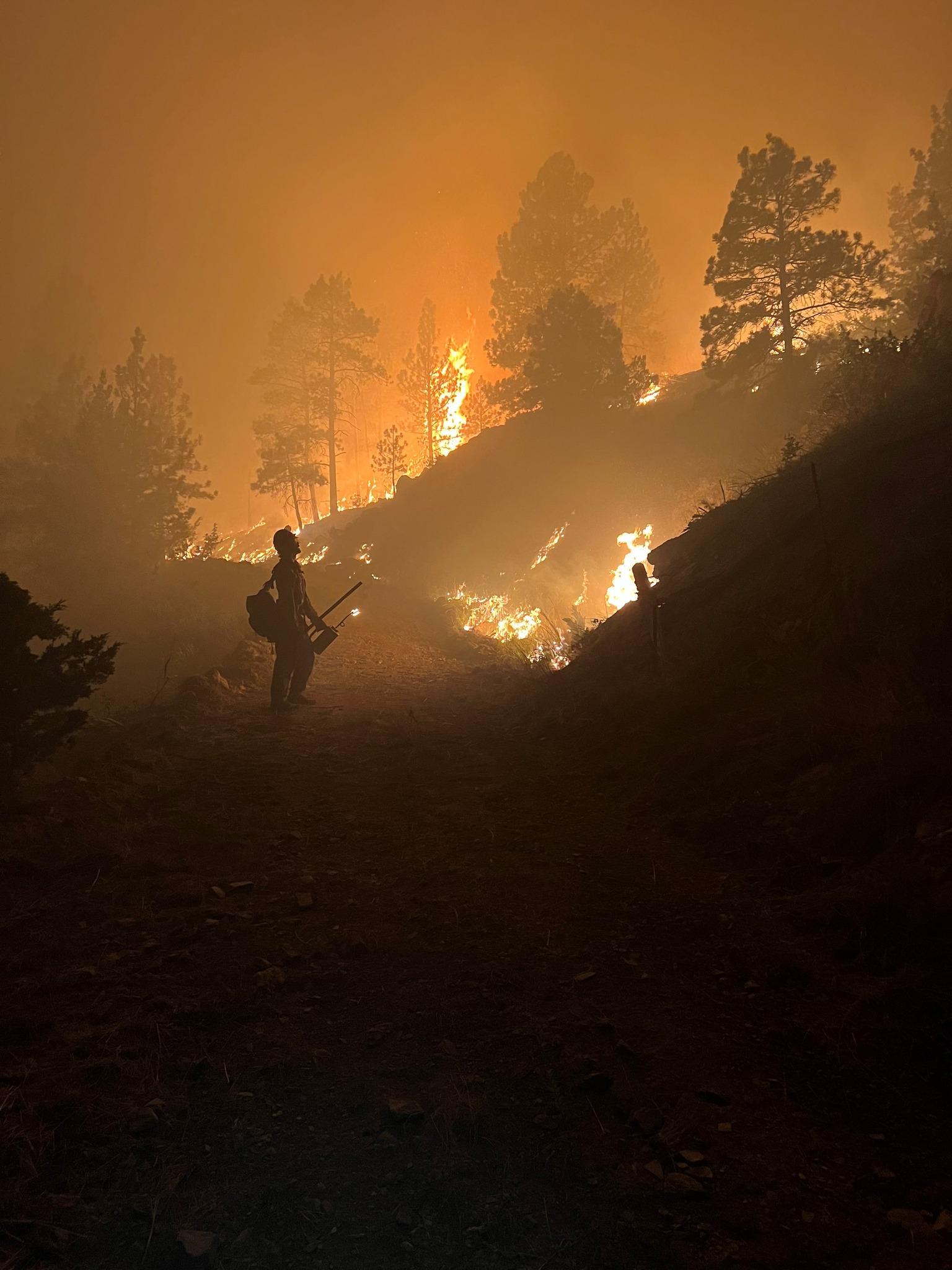 Crews working Horse Gulch