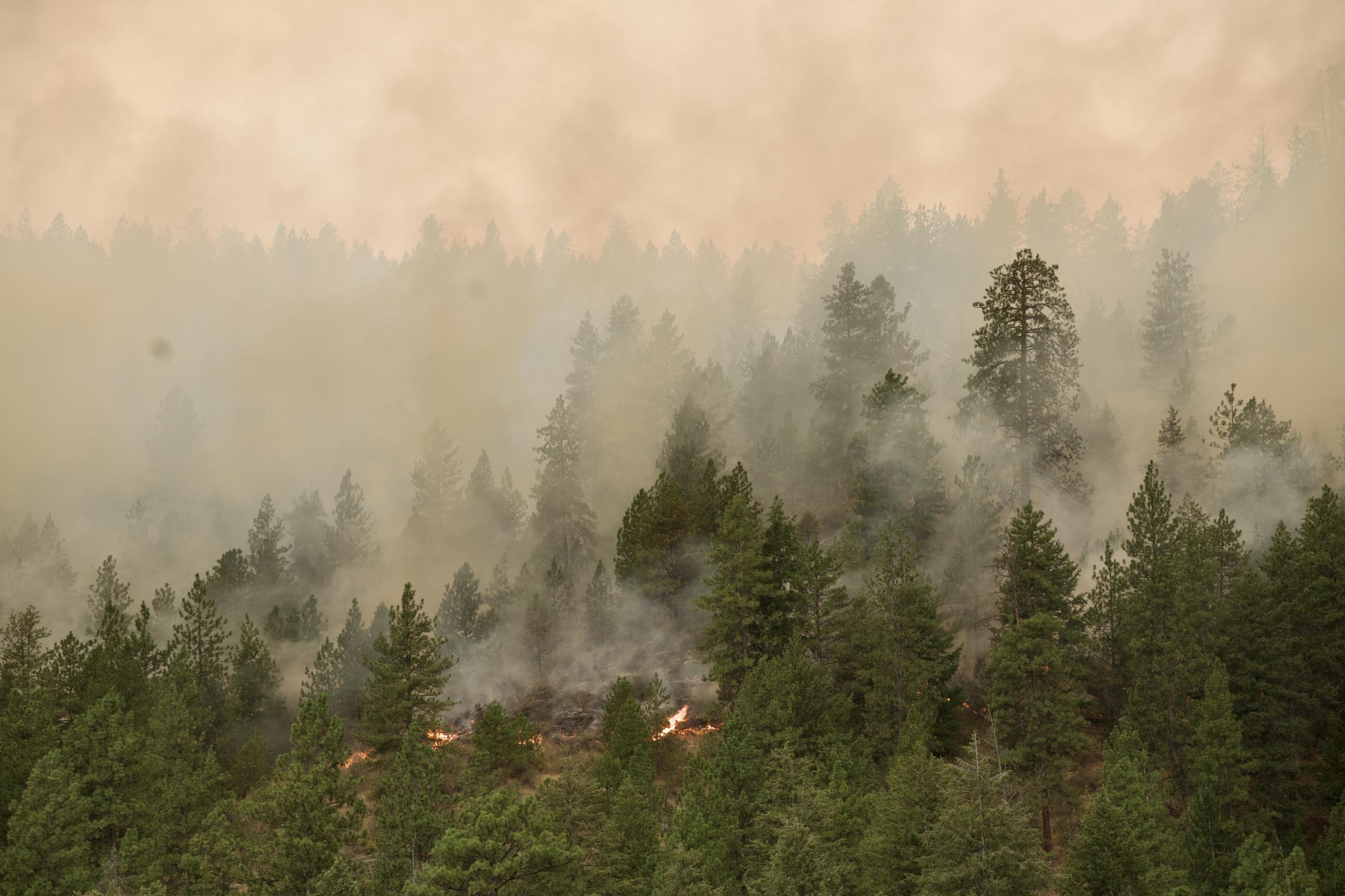 Swawilla fire burning down Mt. Tolman slope 