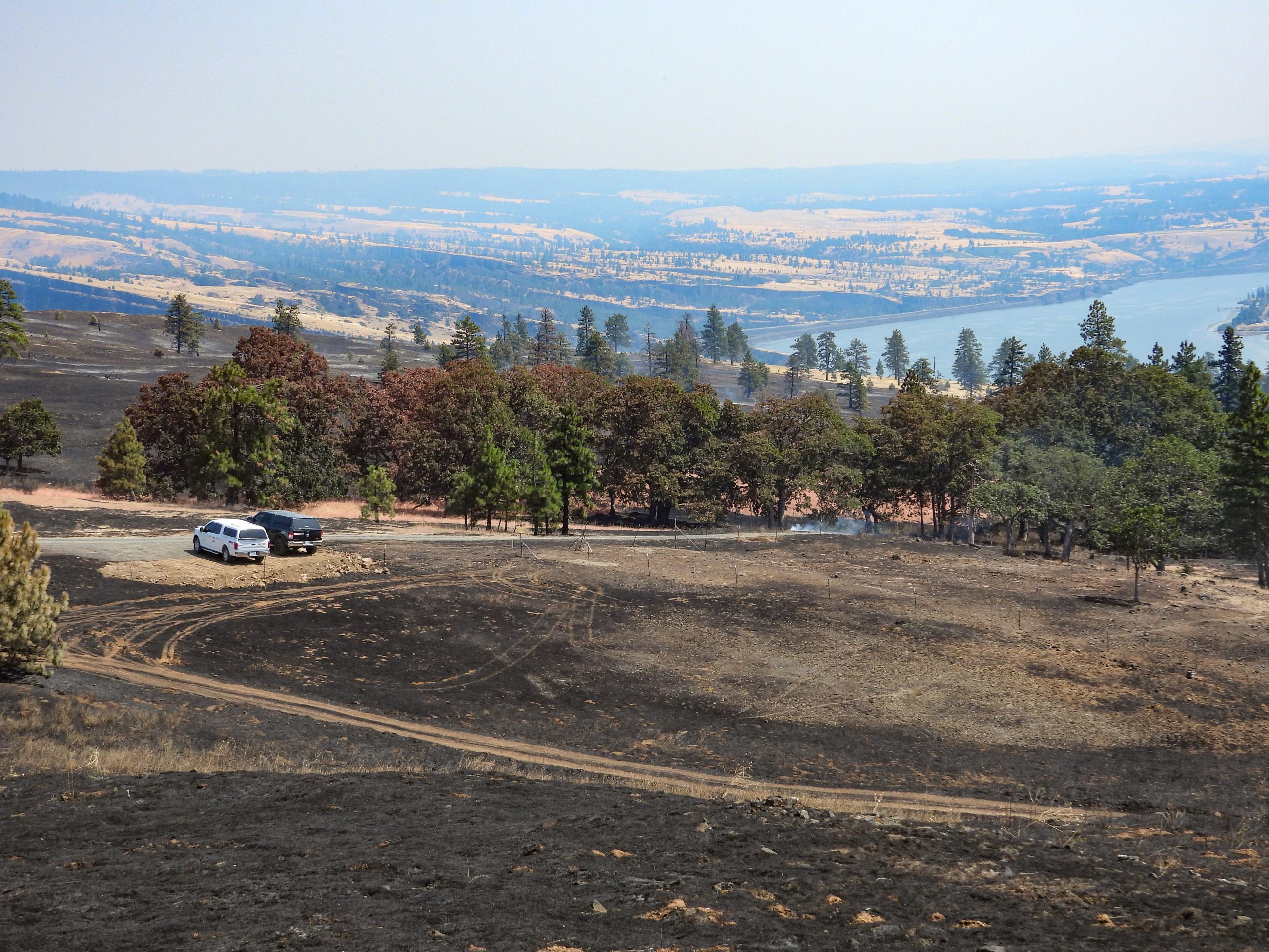 Microwave Tower Fire Overlooking the Columbia River