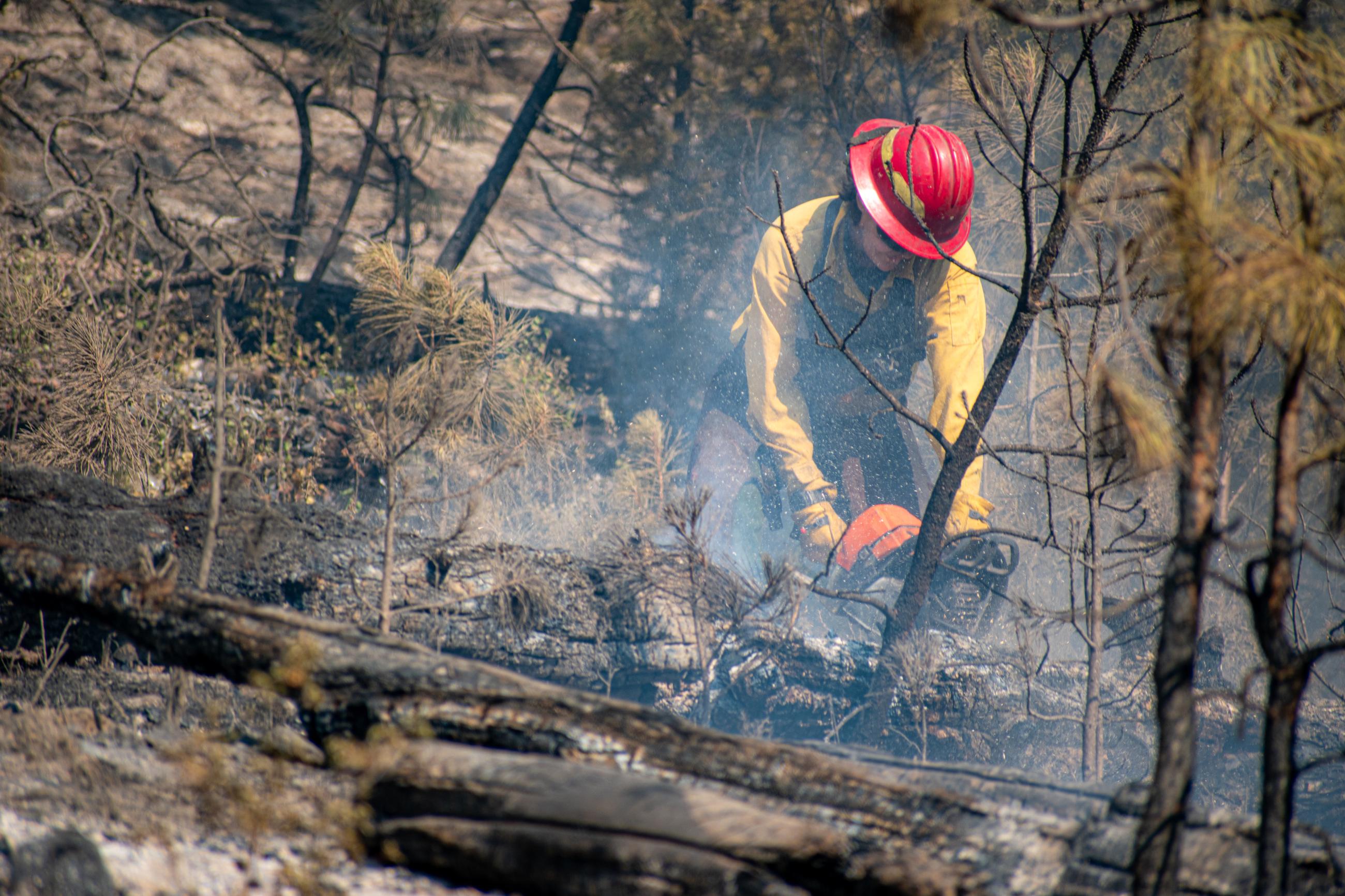 Firefighter bucking log with chainsaw, logs, smoke