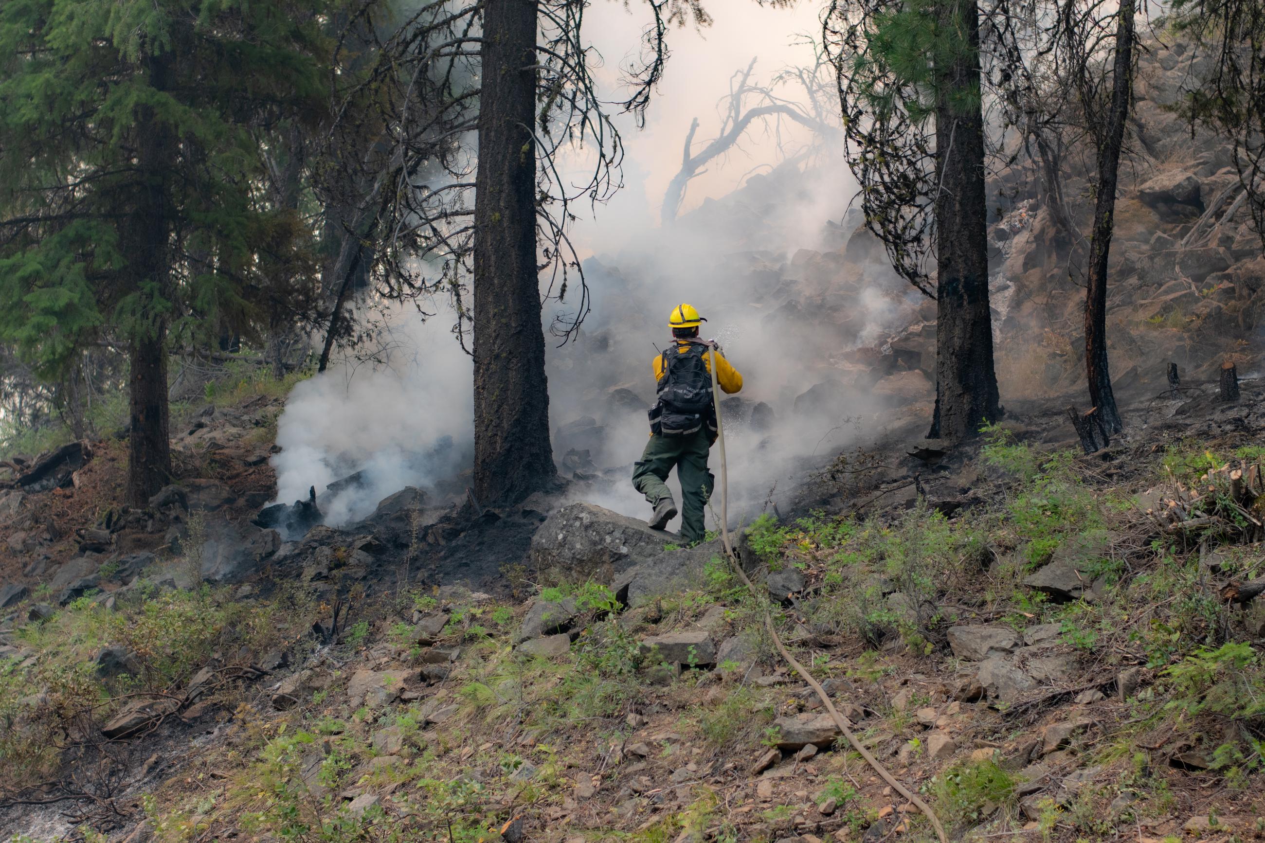 Firefighter carrying hose, trees, smoke