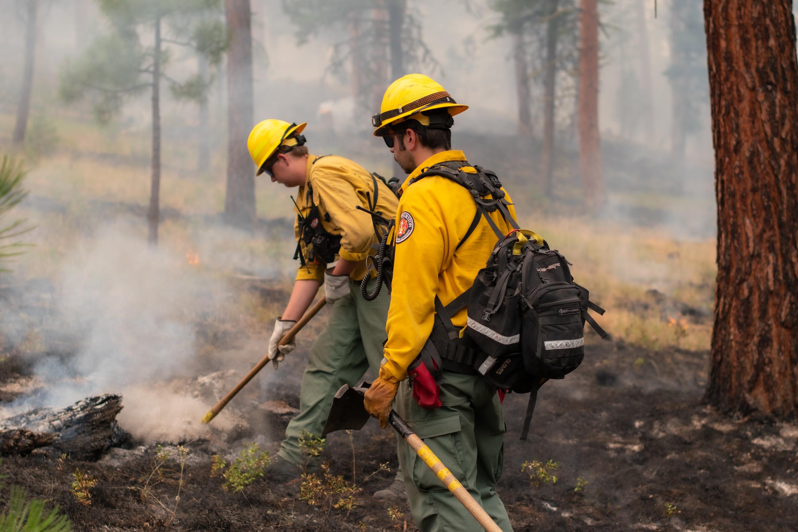 Two firefighters with tools mopping up, smoke, trees