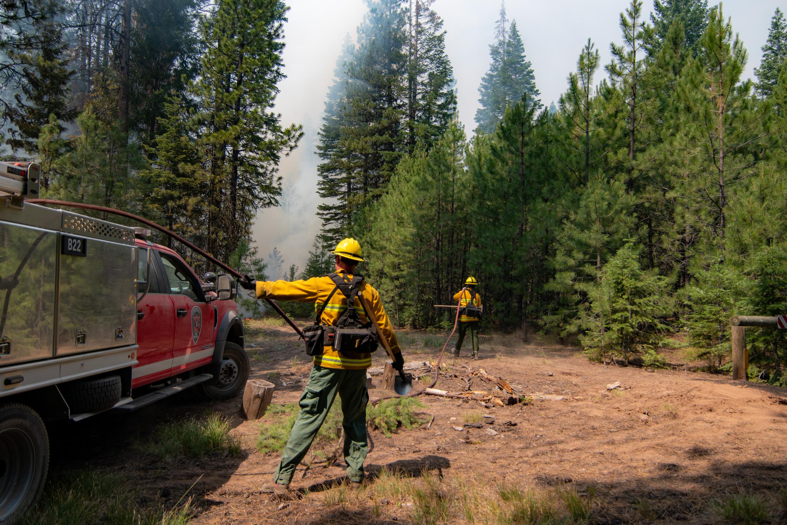 Firefighters pulling hose from engine, trees, smoke