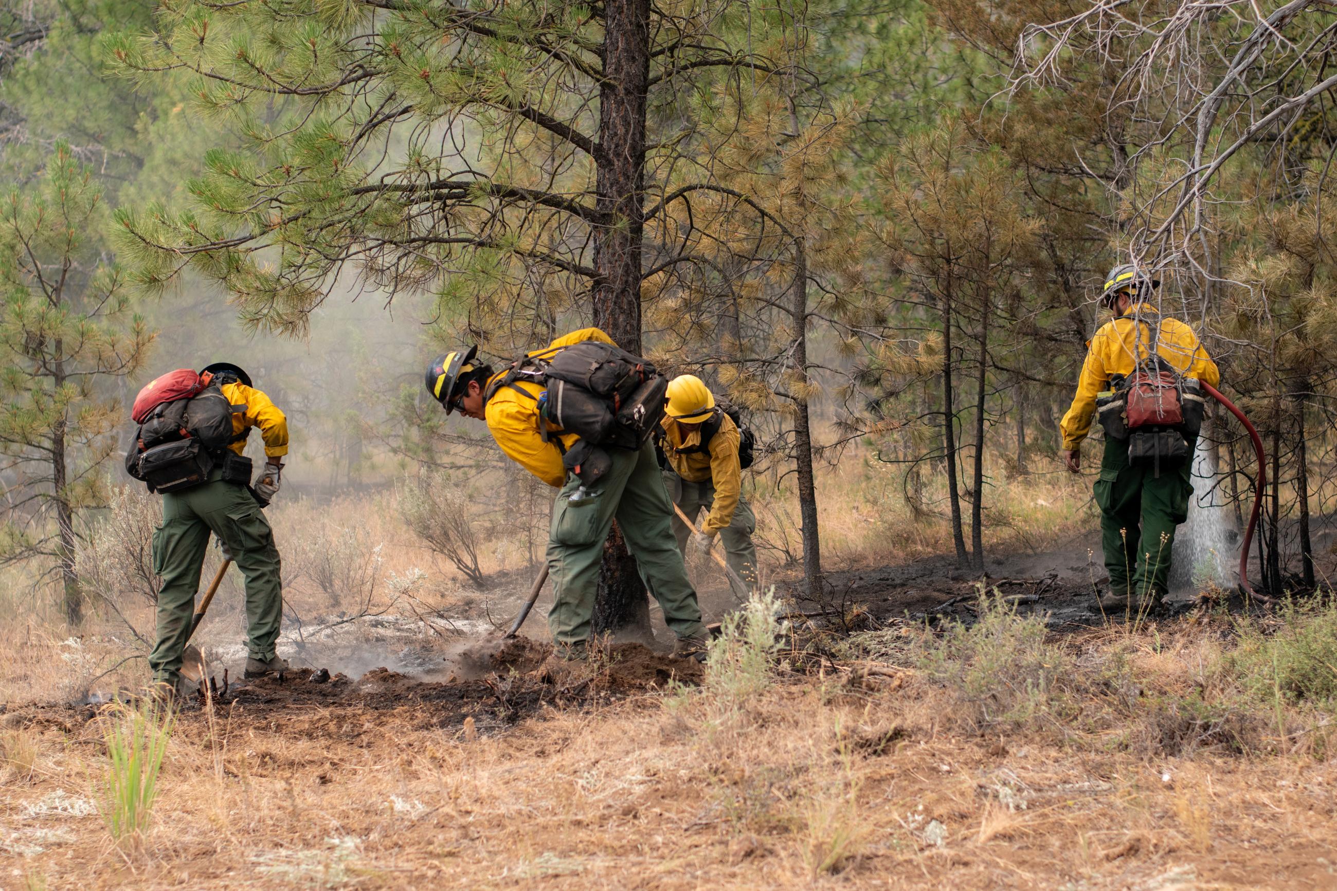 Three firefighters with tools and hose putting out fire, smoke, trees