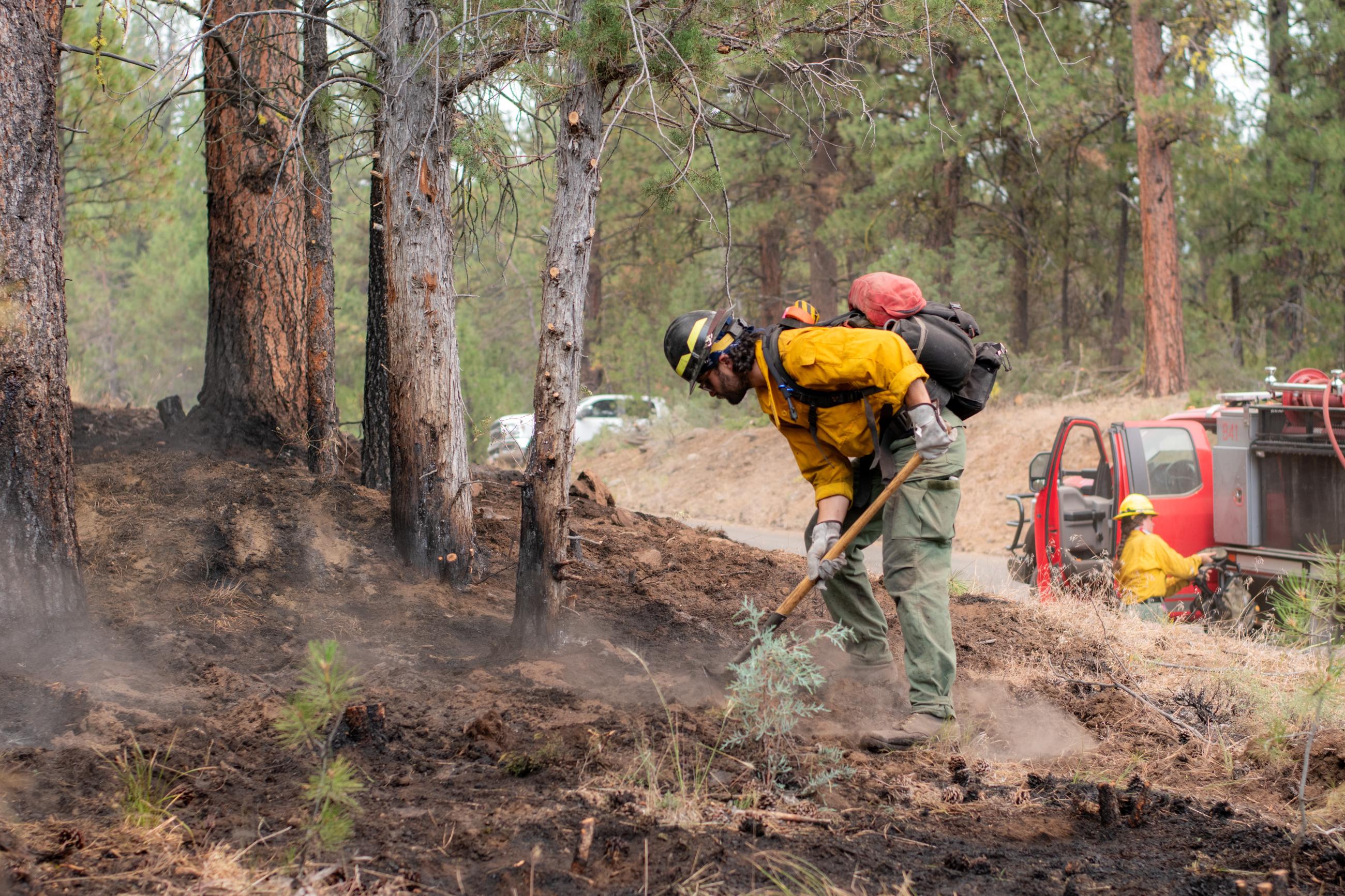 Firefighter with tool spreading hot ashes. Burned trees, grass, truck and engine in background. 