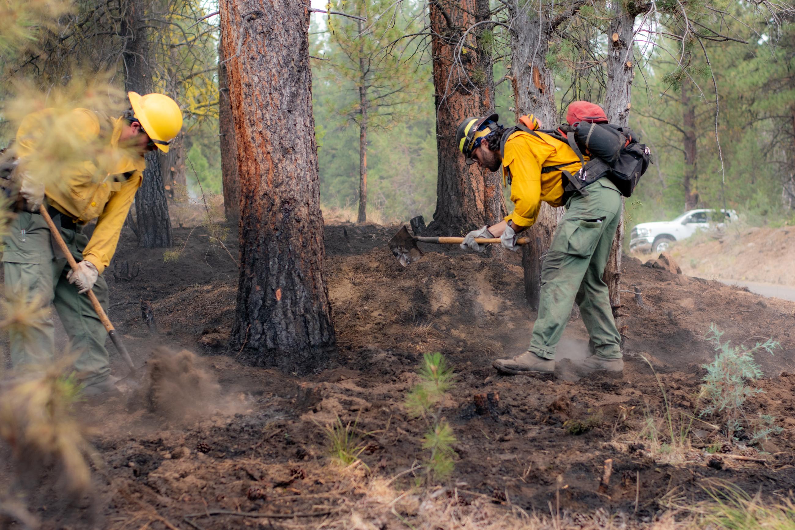 Firefighters with tools digging up hot spots