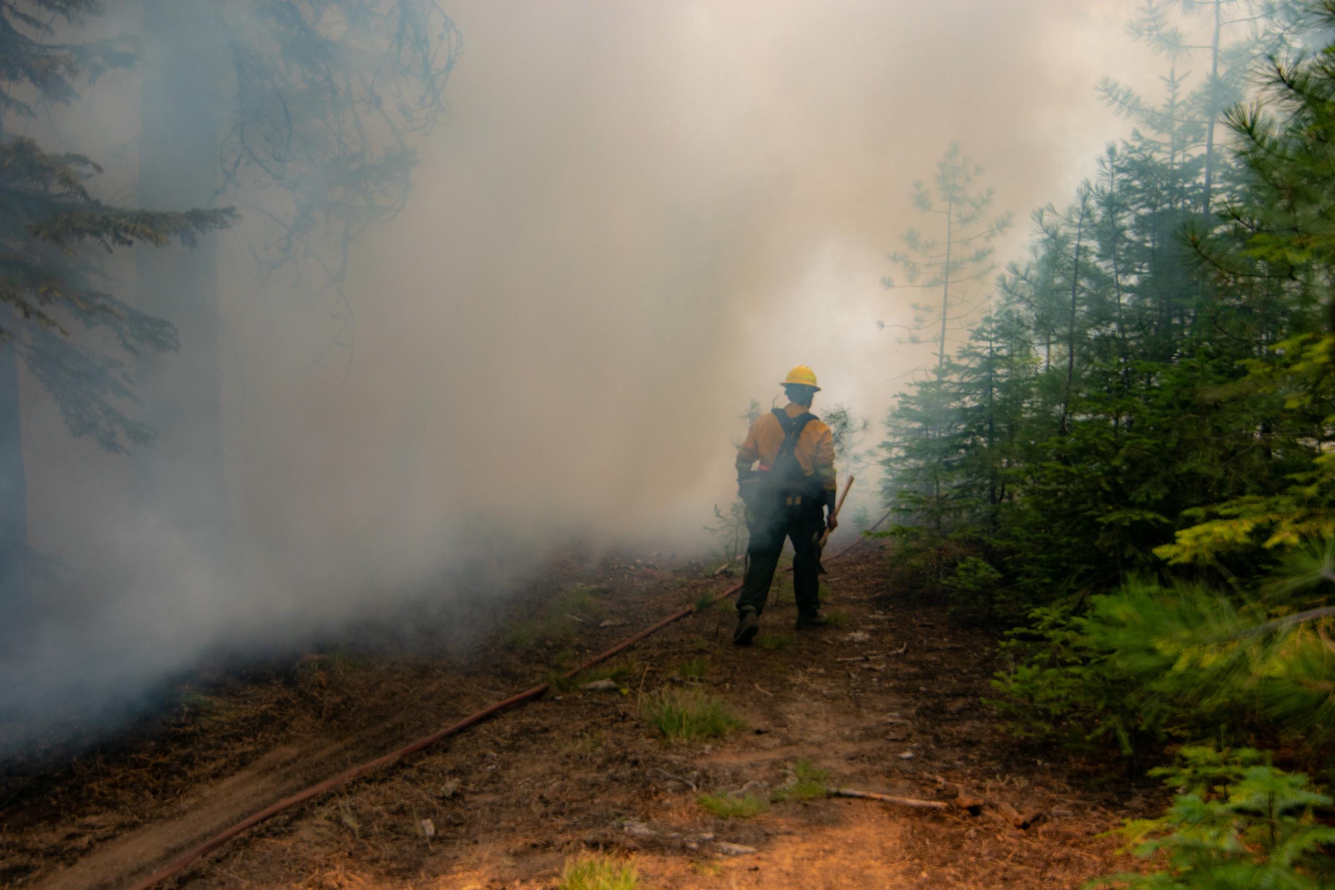 Firefighter walking out of smoky area, trees