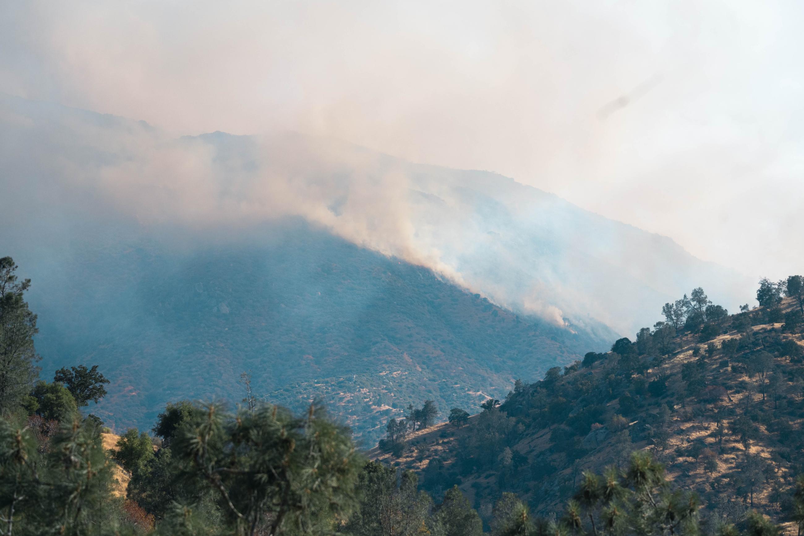 smoke filled narrow valley as fire burns on steep, thickly vegetated hills