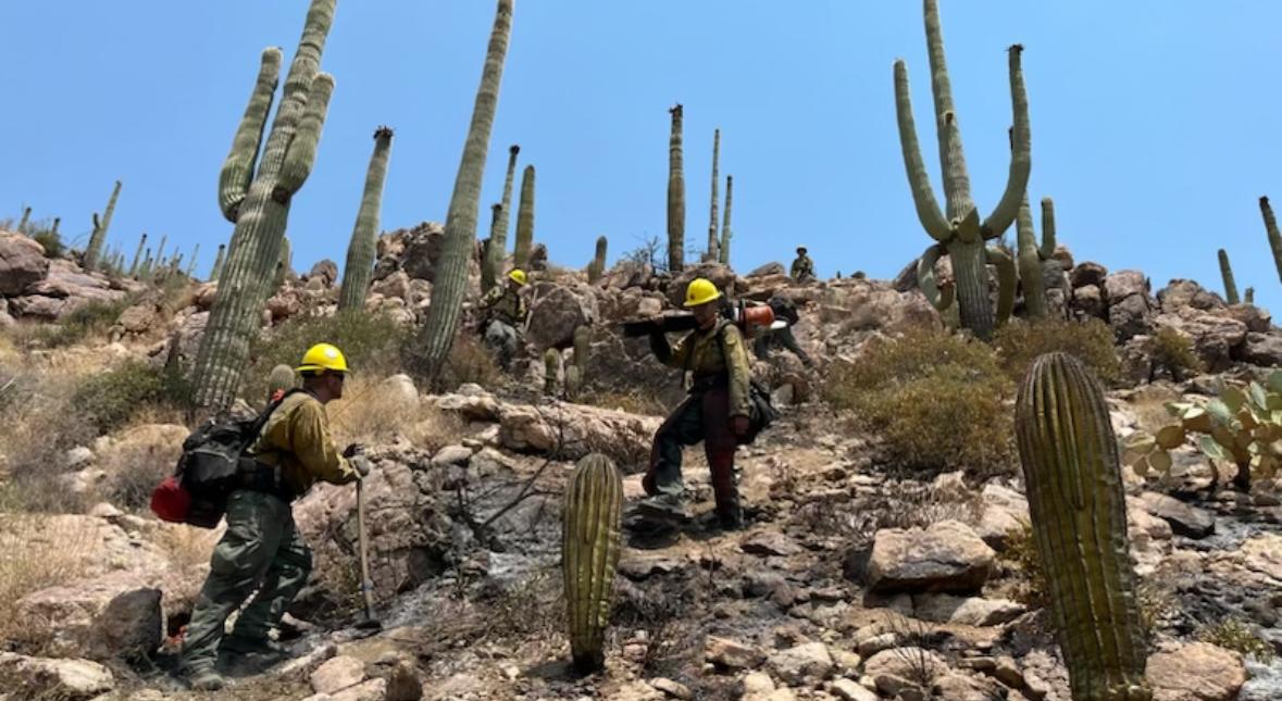 Arizona Forestry's Diablo Crew on the Hillside Fire