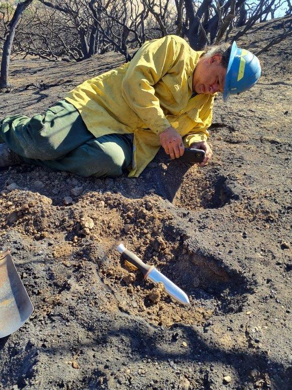 Image showing Burned Area Emergency Response Soil Scientist evaluating the Post Fire burned area on the Los Padres National Forest