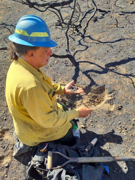 Image showing Burned Area Emergency Response Soil Scientist evaluating the Post Fire burned area on the Los Padres National Forest