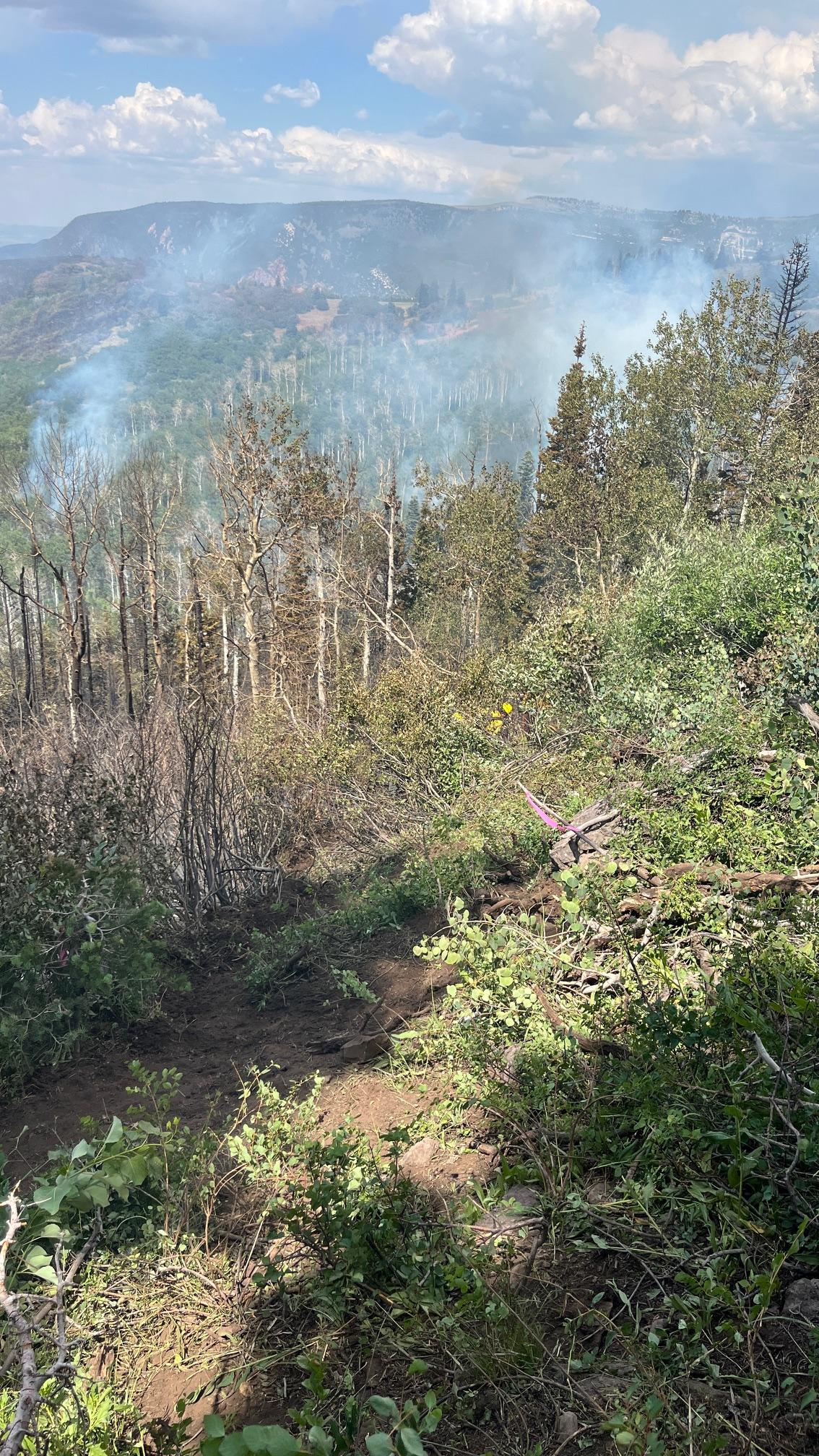 Fire Burning in Brushy Areas, July 16, 2024