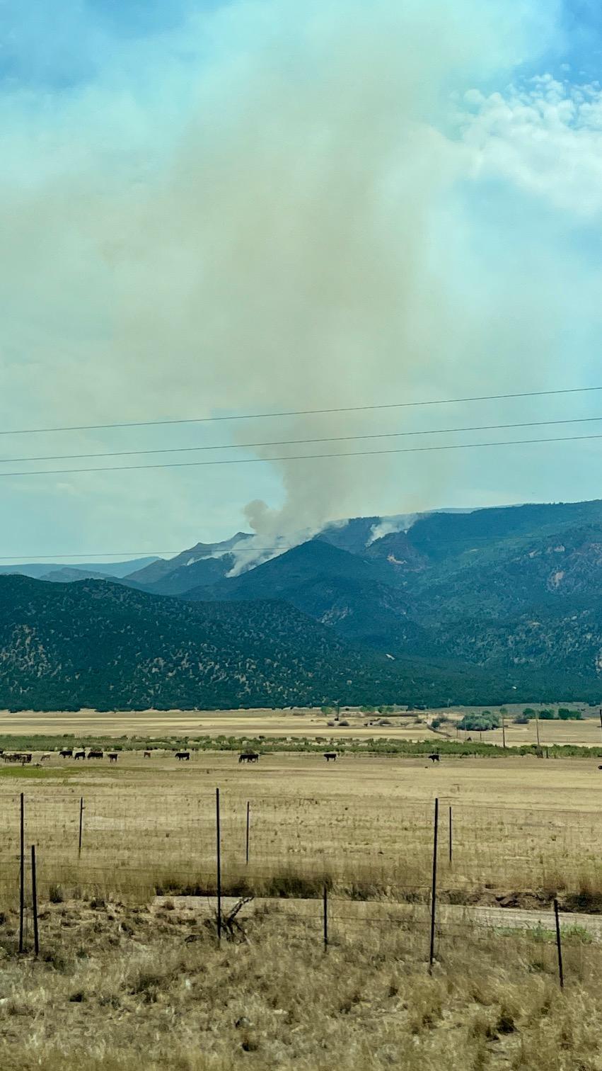 Fire in the Mountains Above Ranchlands, July 16, 2024