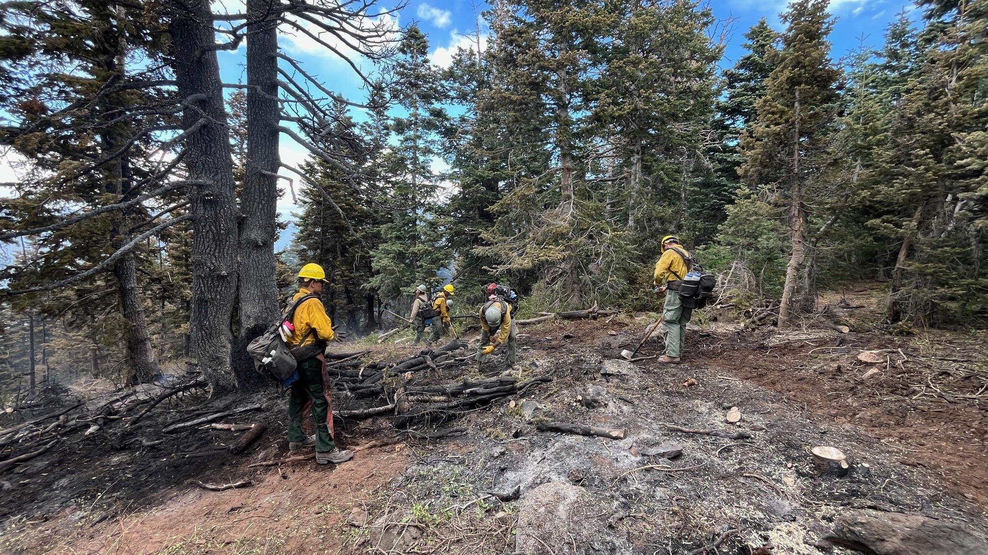 Firefighters Search for Hot Spots