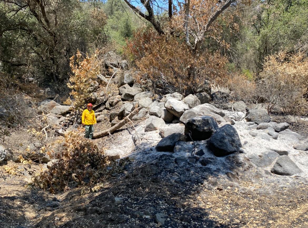 Image showing BAER Hydro Shannon Casey next to debris flow levee in Basin Burned Area--along Garnet Dyke Road on the way to Bear Wallow