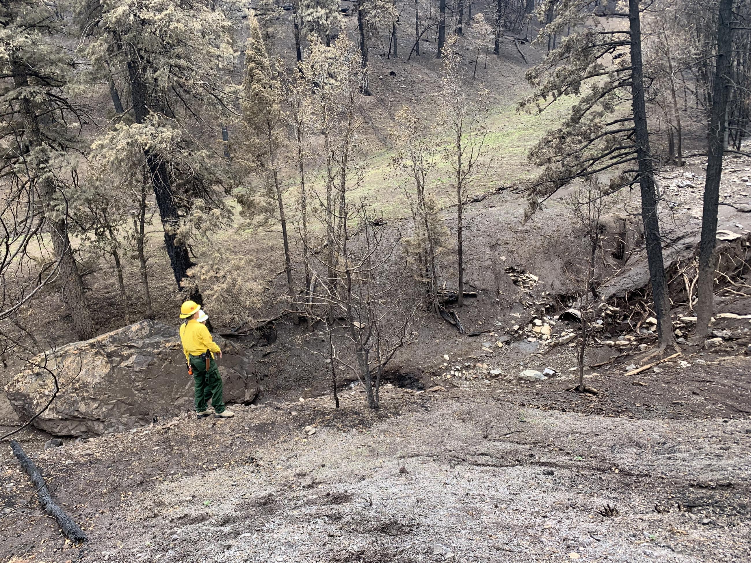 Image showing BAER Hydrologists Examine Channel Conditions in South Fork Burned Area