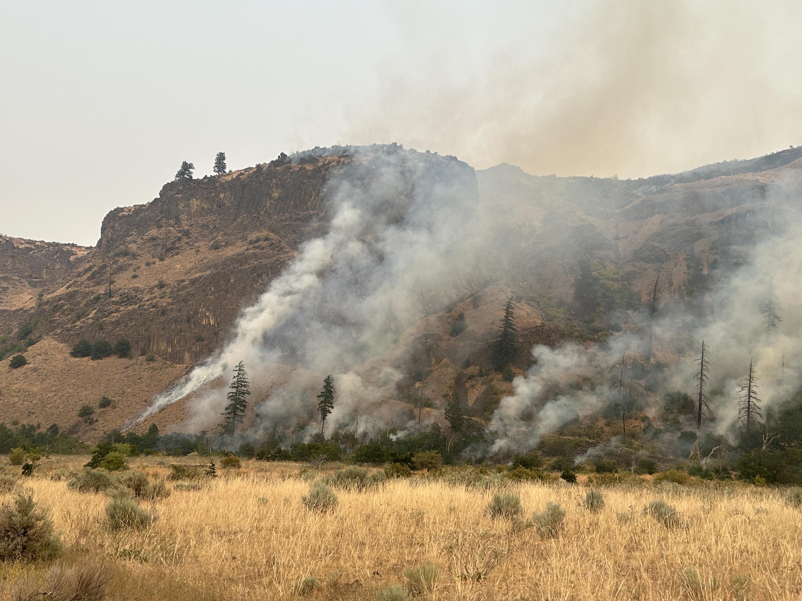 Fire running up a hill 