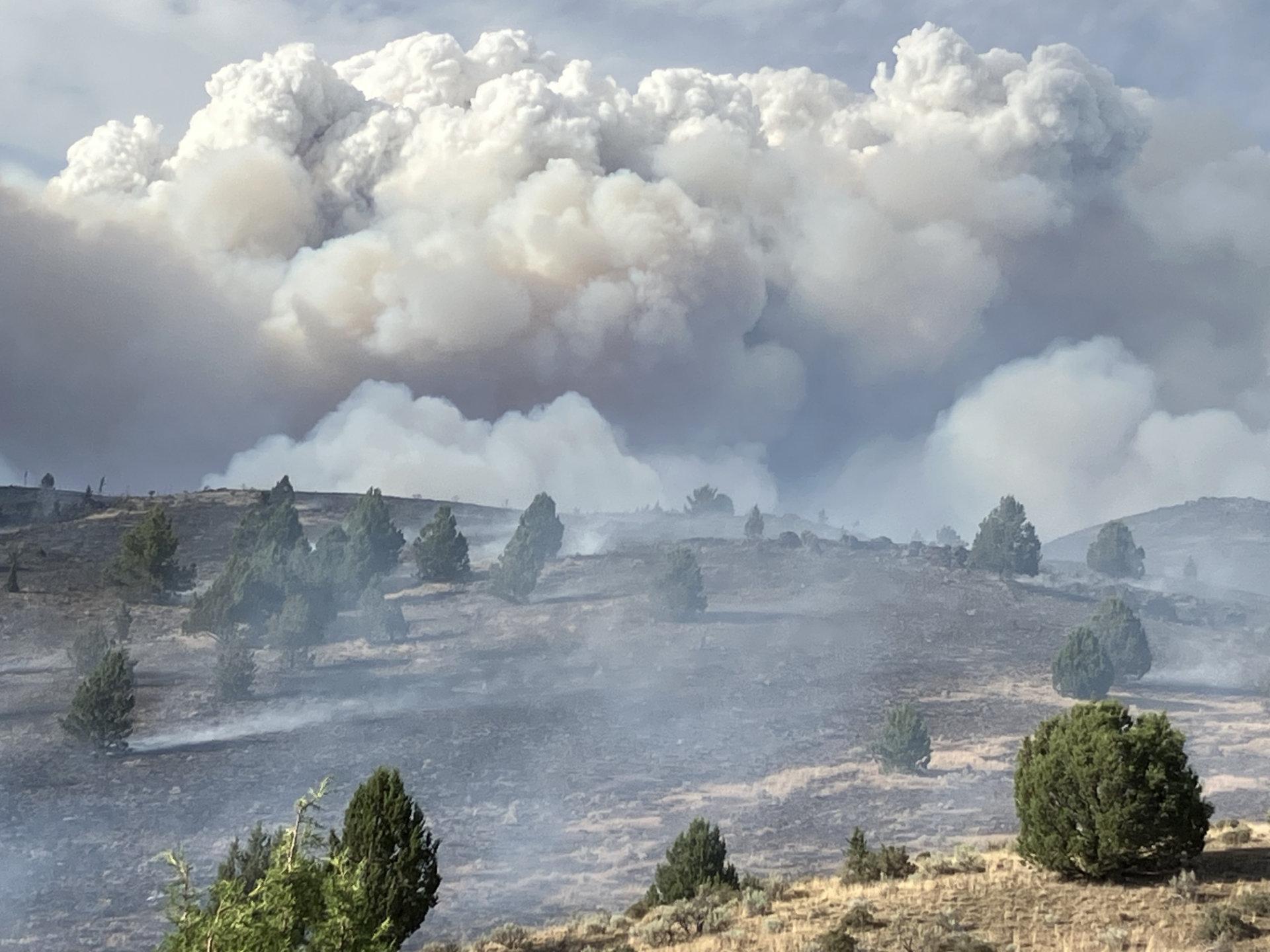 East Flank Fire Column - Big Smoke Plume w/ landscape