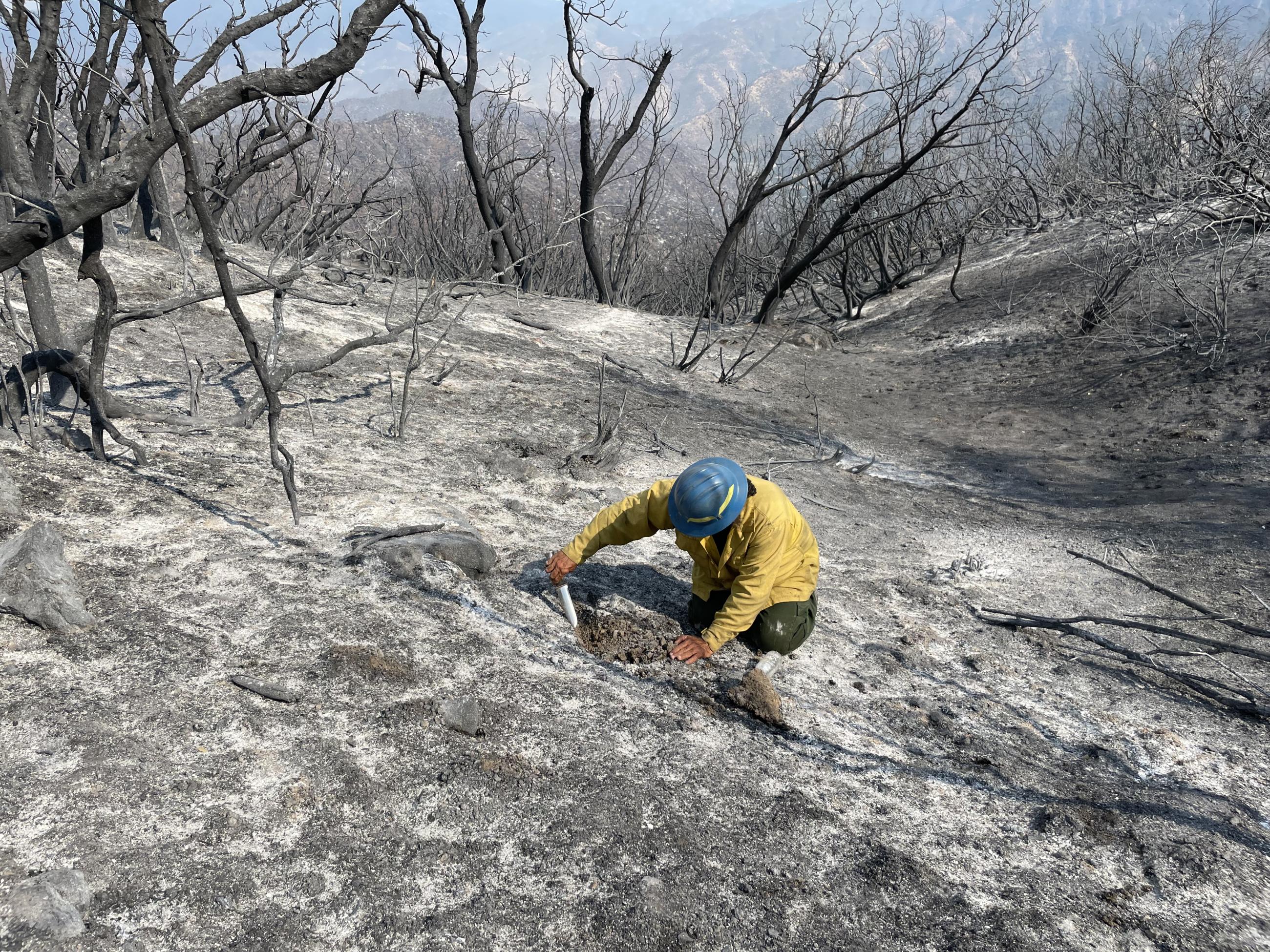 Image showing BAER Soil Scientist Assessing Soil Burn Severity in Basin Burned Area