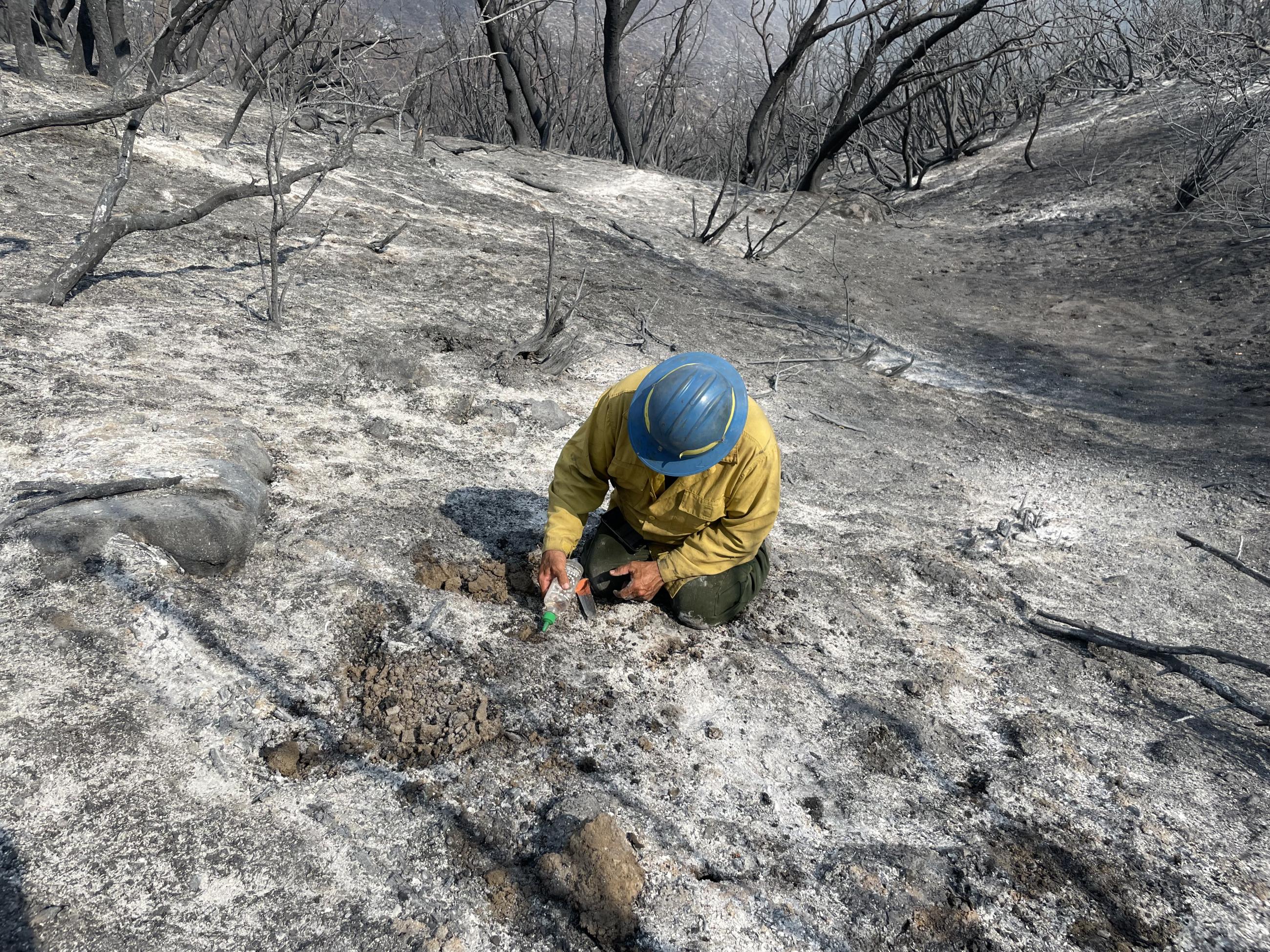 Image showing BAER Soil Scientist Assessing Soil Burn Severity in Basin Burned Area