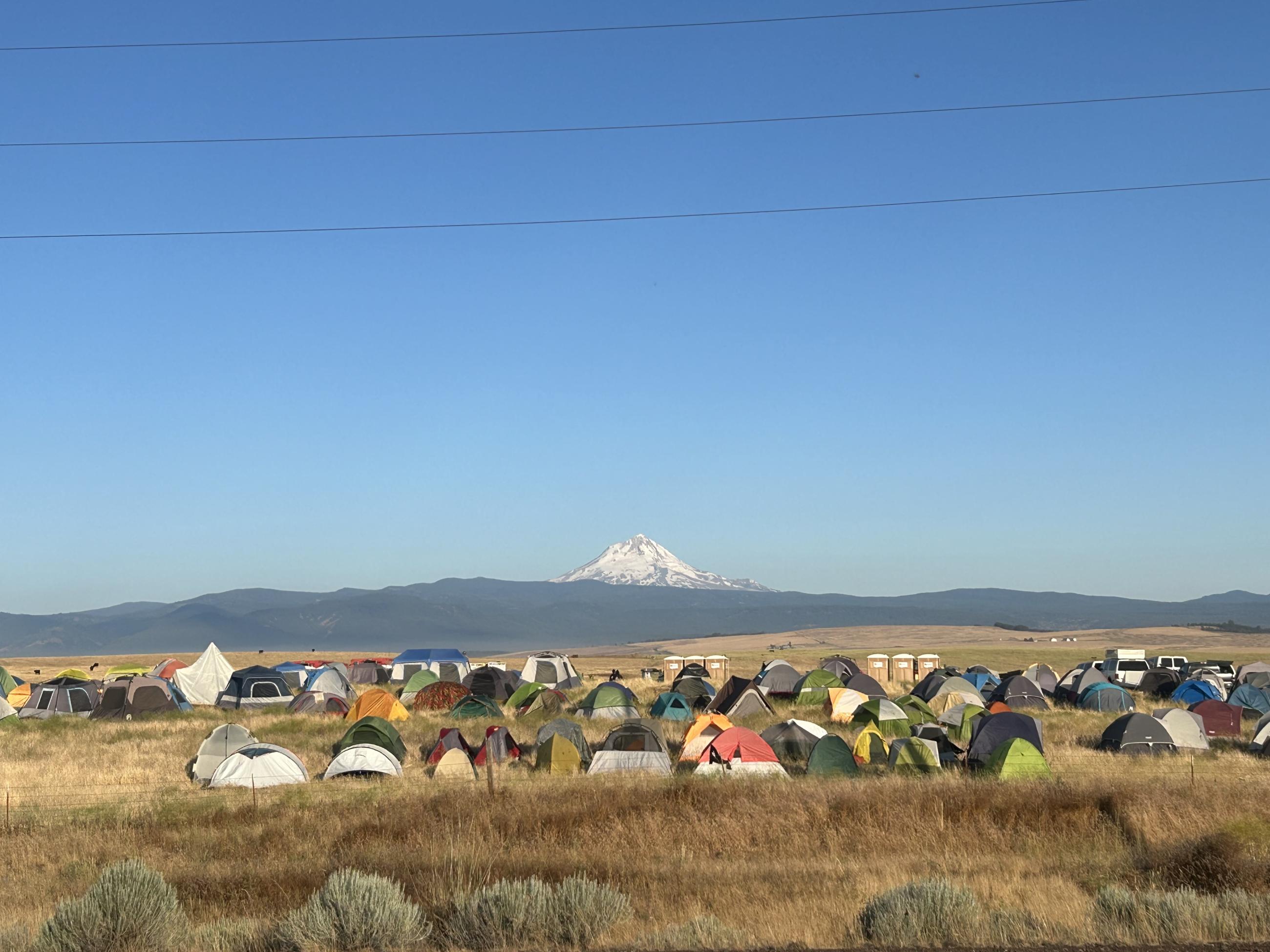 Multiple camping tents set up in a large field with a mountain in the background.