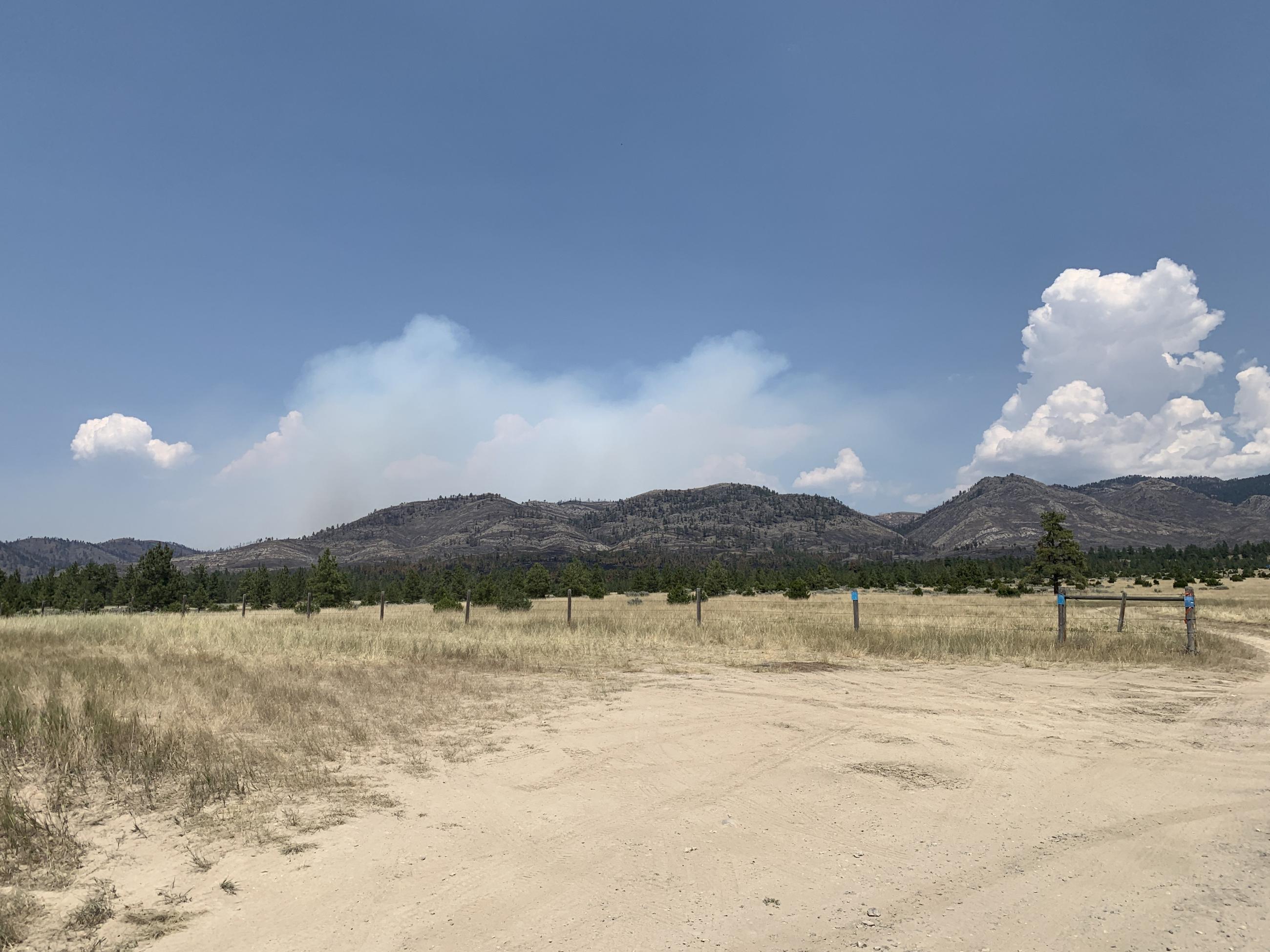 Smoke plume on the Horse Gulch Fire